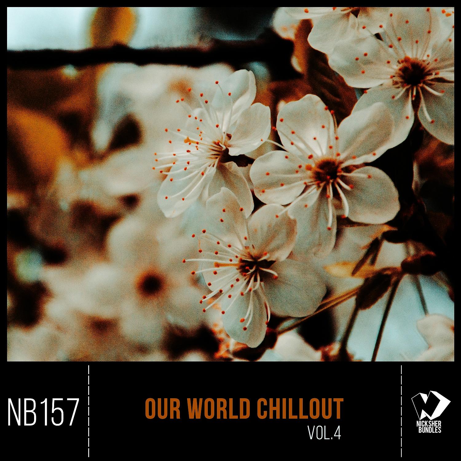 Постер альбома Our World Chillout, Vol. 4