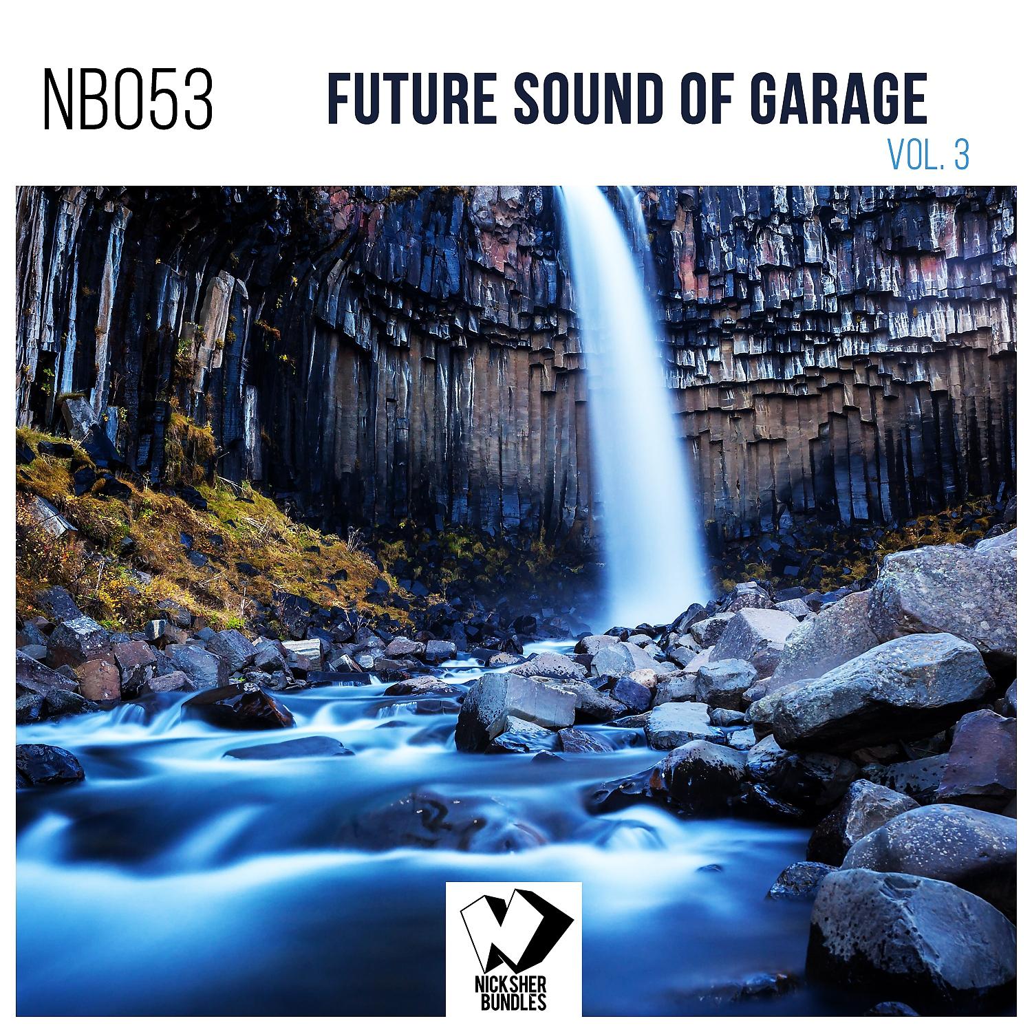 Постер альбома Future Sound of Garage, Vol. 3