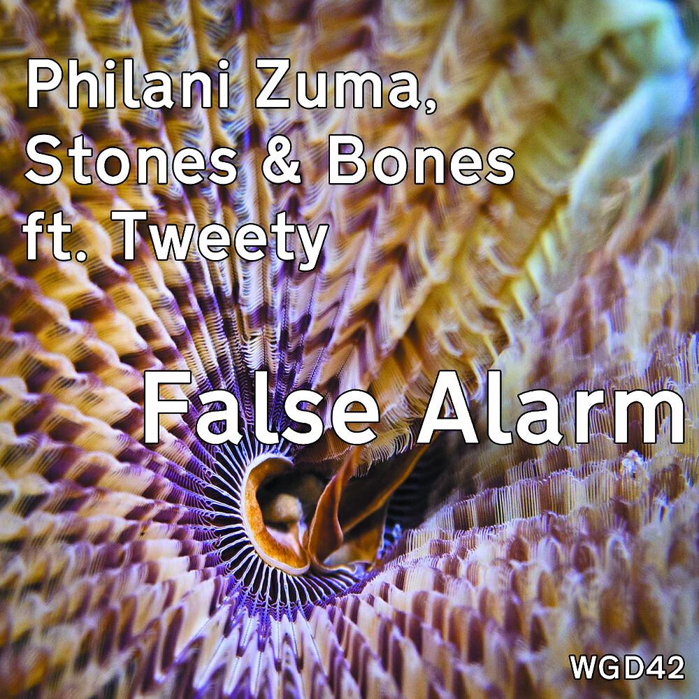 Philani Zuma - False Alarm (Soule Villain Remix)