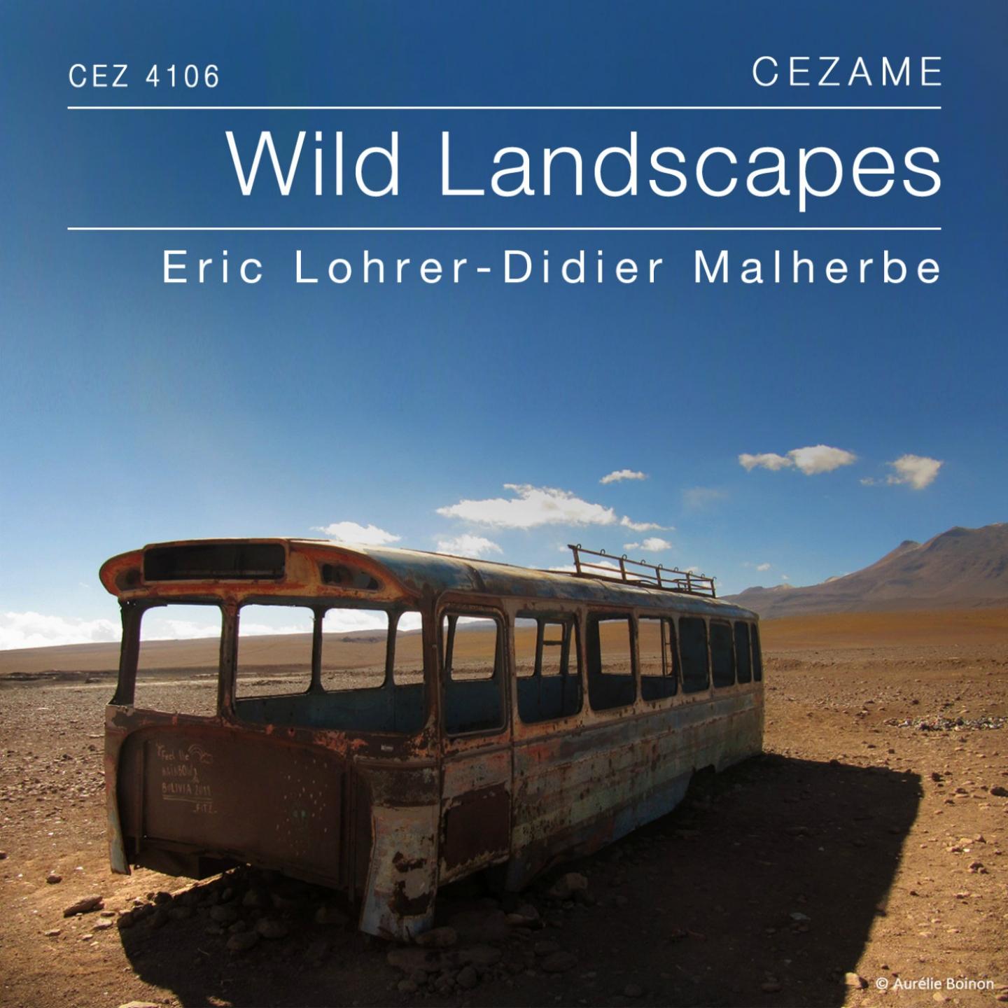 Постер альбома Wild Landscapes