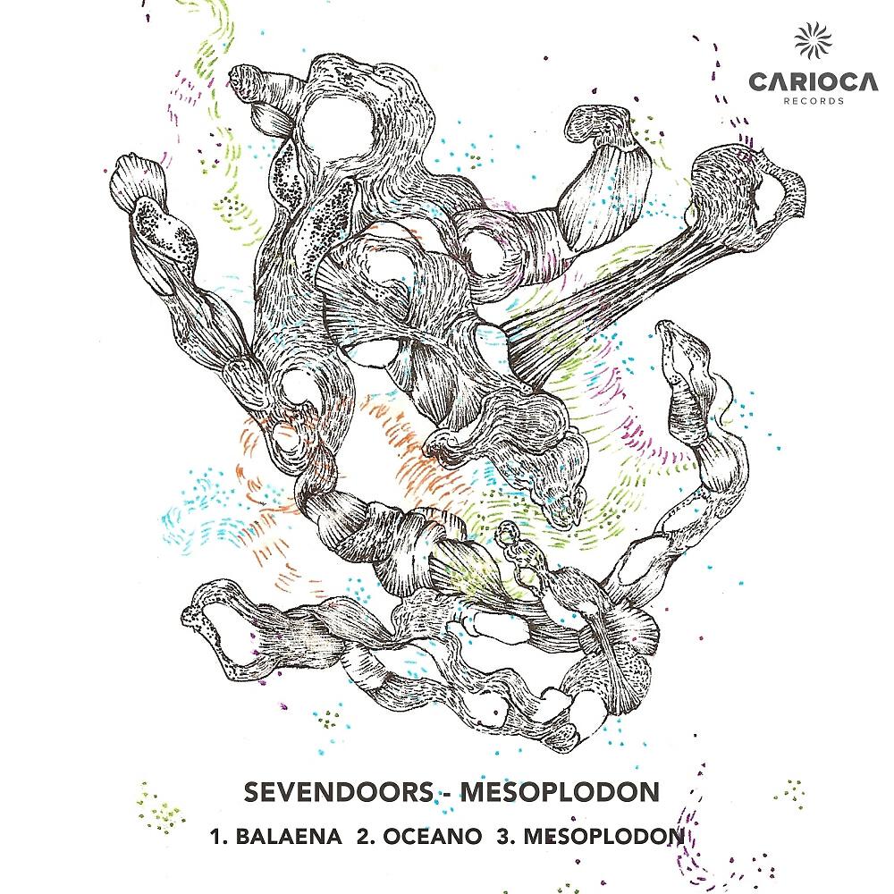 SevenDoors - Balaena