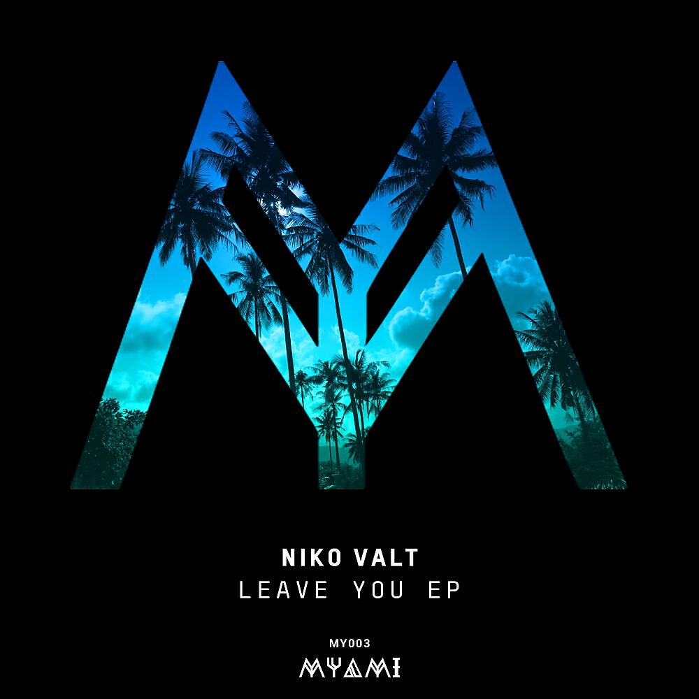 Niko Valt - Leave You