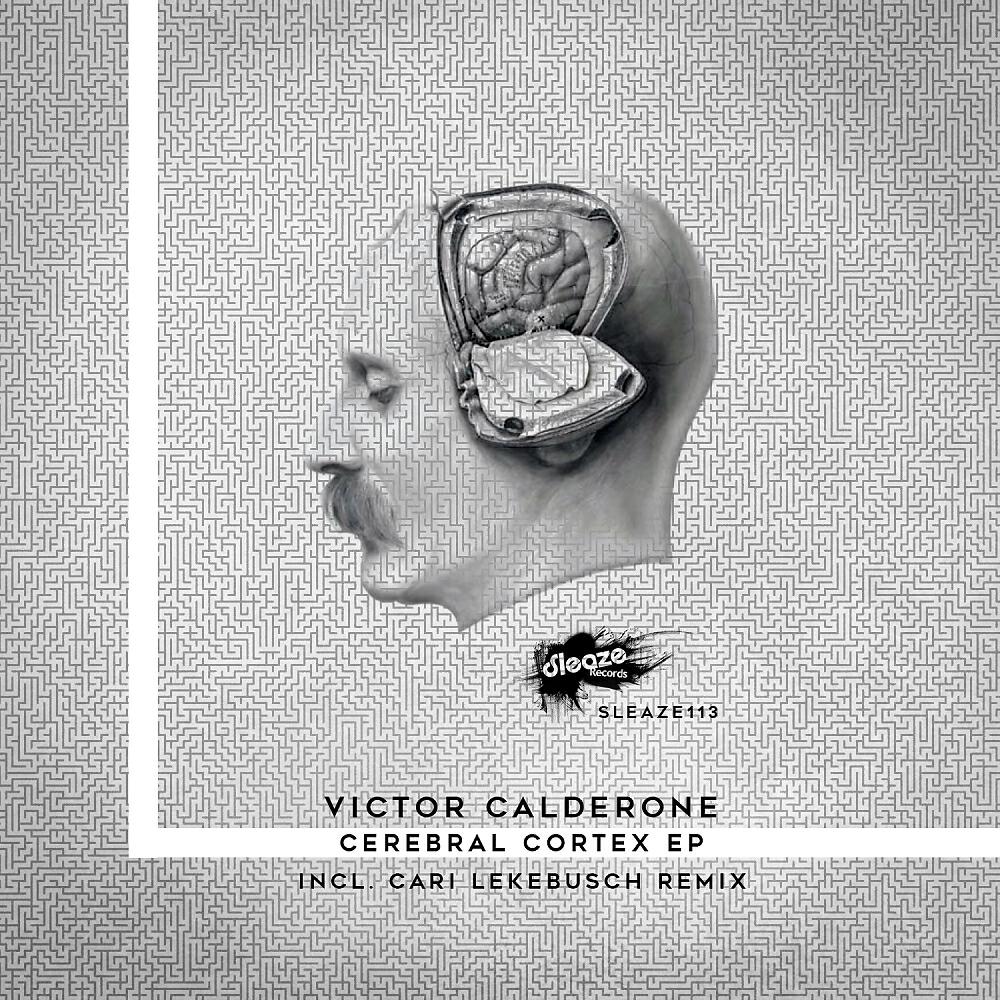 Victor Calderone - Prophecy (Cari Lekebusch Remix)