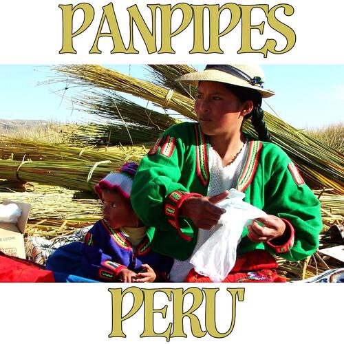 Latin Band - El Condor Pasa (Pan Pipes)