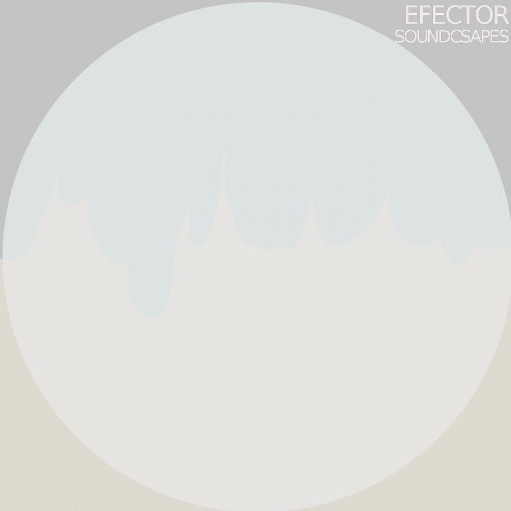 Efector - Schade