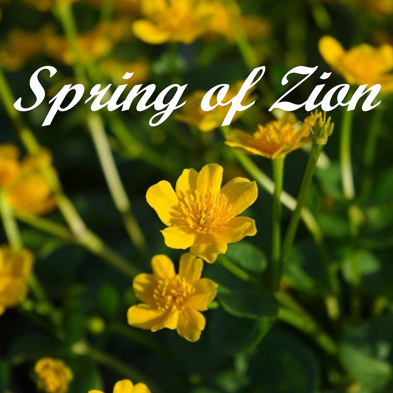 Постер альбома Spring of Zion