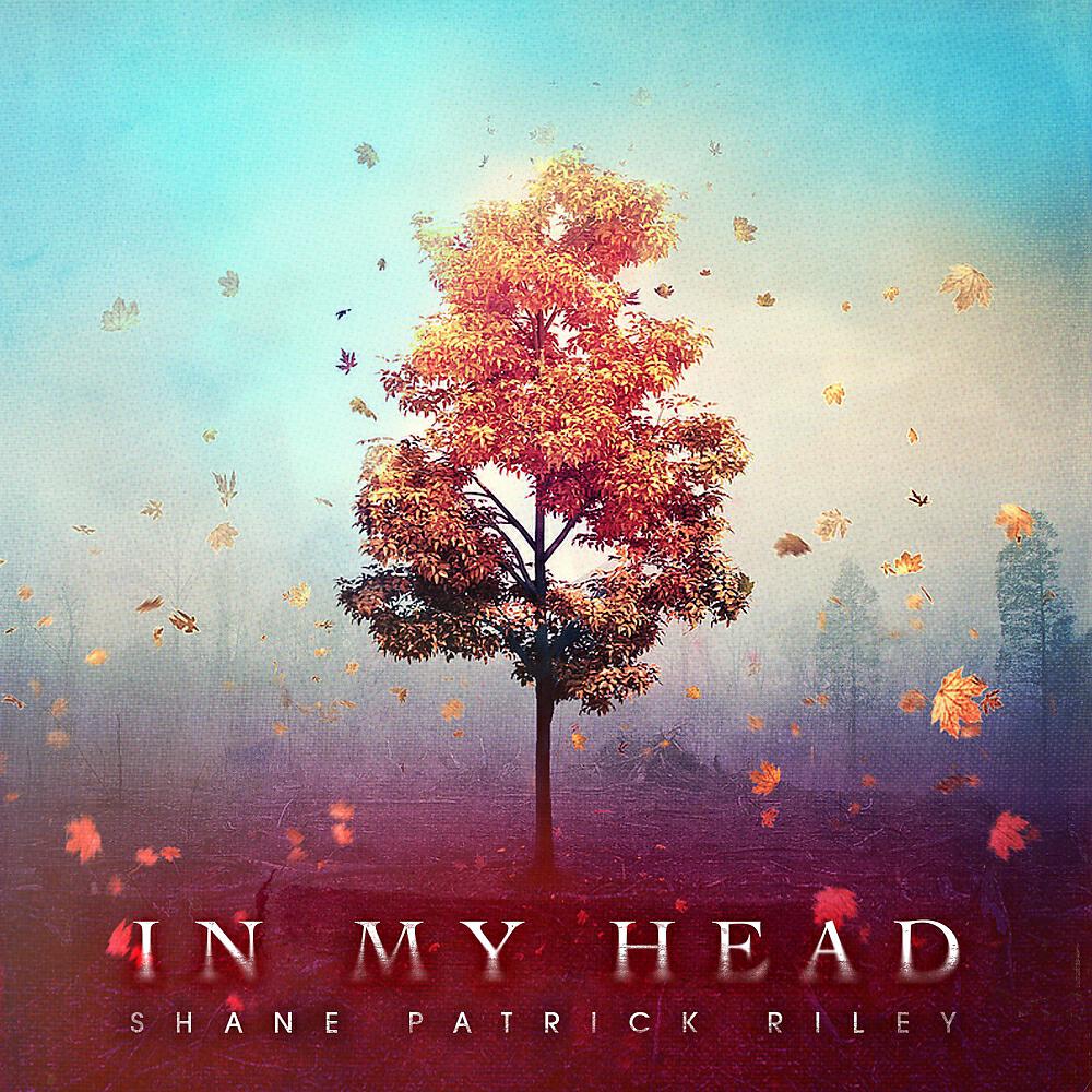 Shane Patrick Riley - In My Head