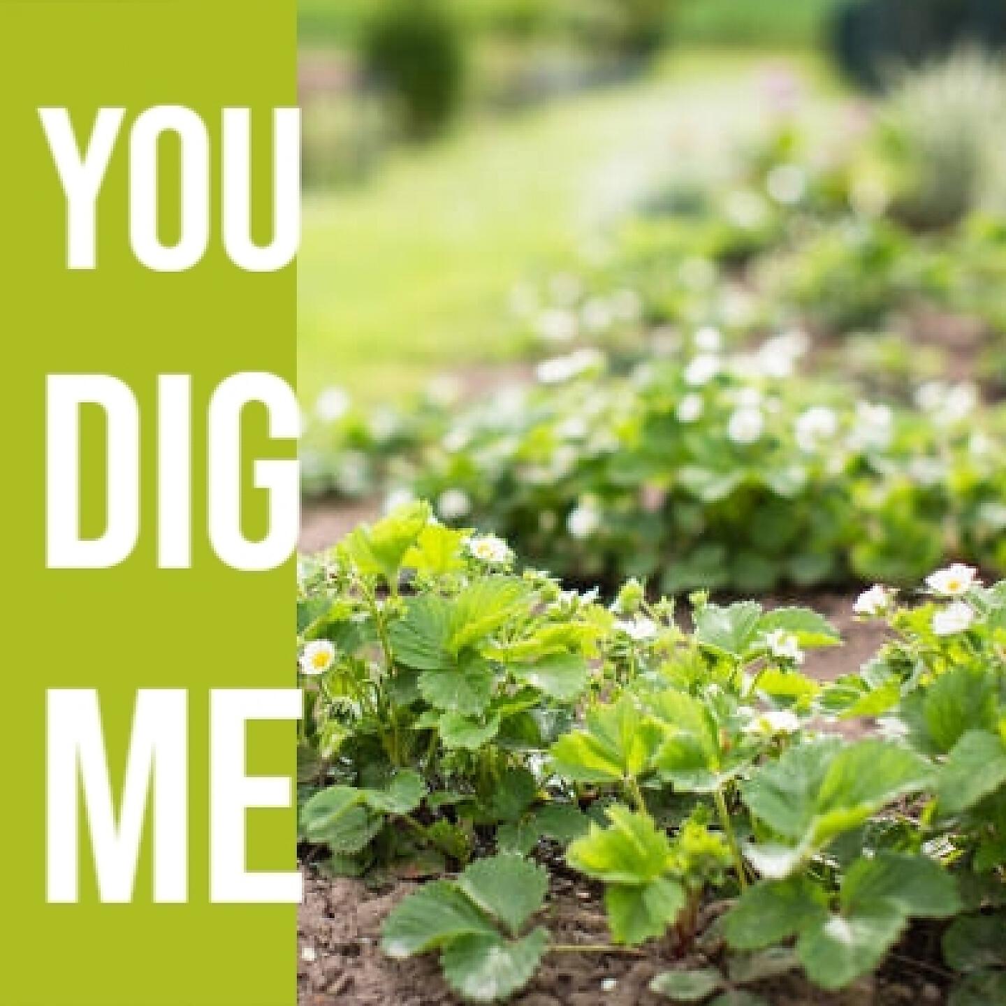 Alex North - Te Deu (Roger Wagner) (Original Soundtrack from 'Desiree')