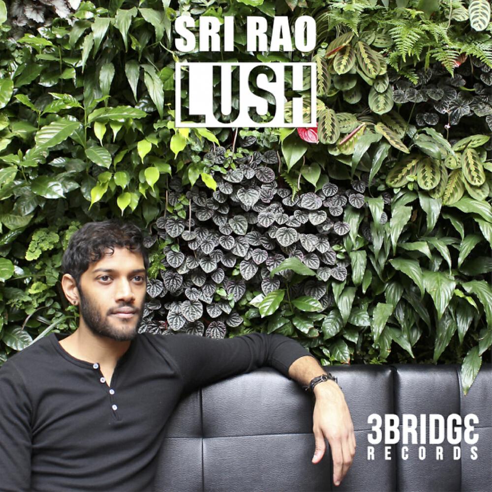 Sri Rao - Lush (Deep Woods Remix)