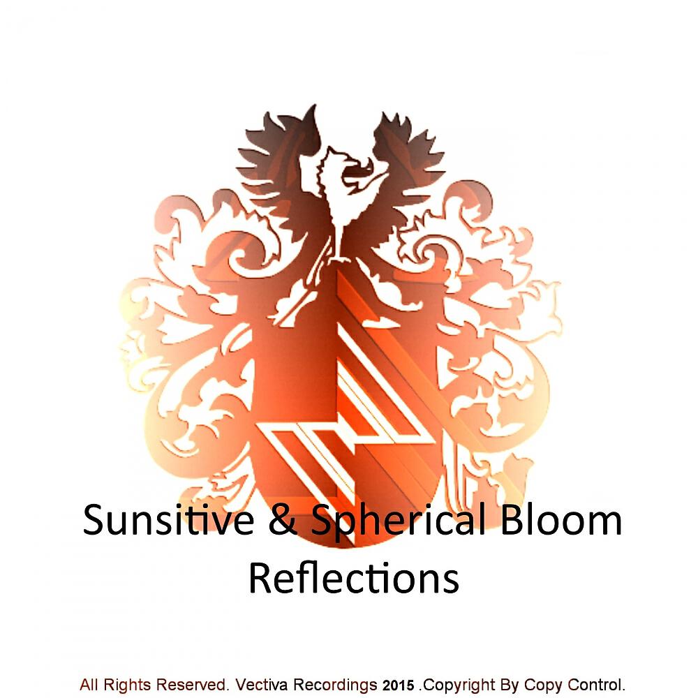 Sunsitive - Reflections