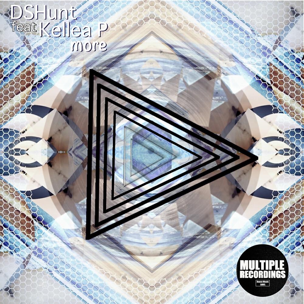 DSHunt - More