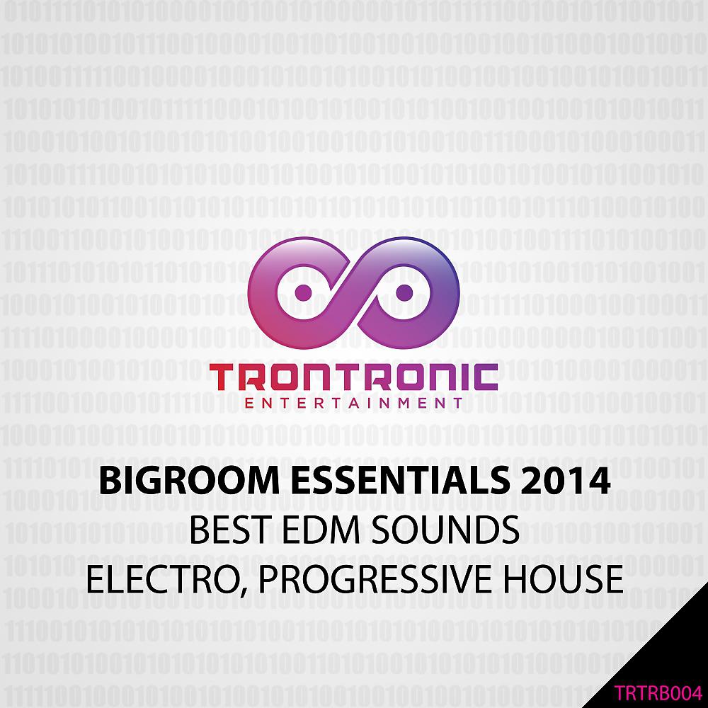 Постер альбома Bigroom Essentials 2014 (Best EDM Sounds: Electro, Progressive House)