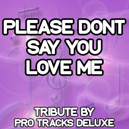 Pro Tracks Deluxe - Please Don't Say You Love Me