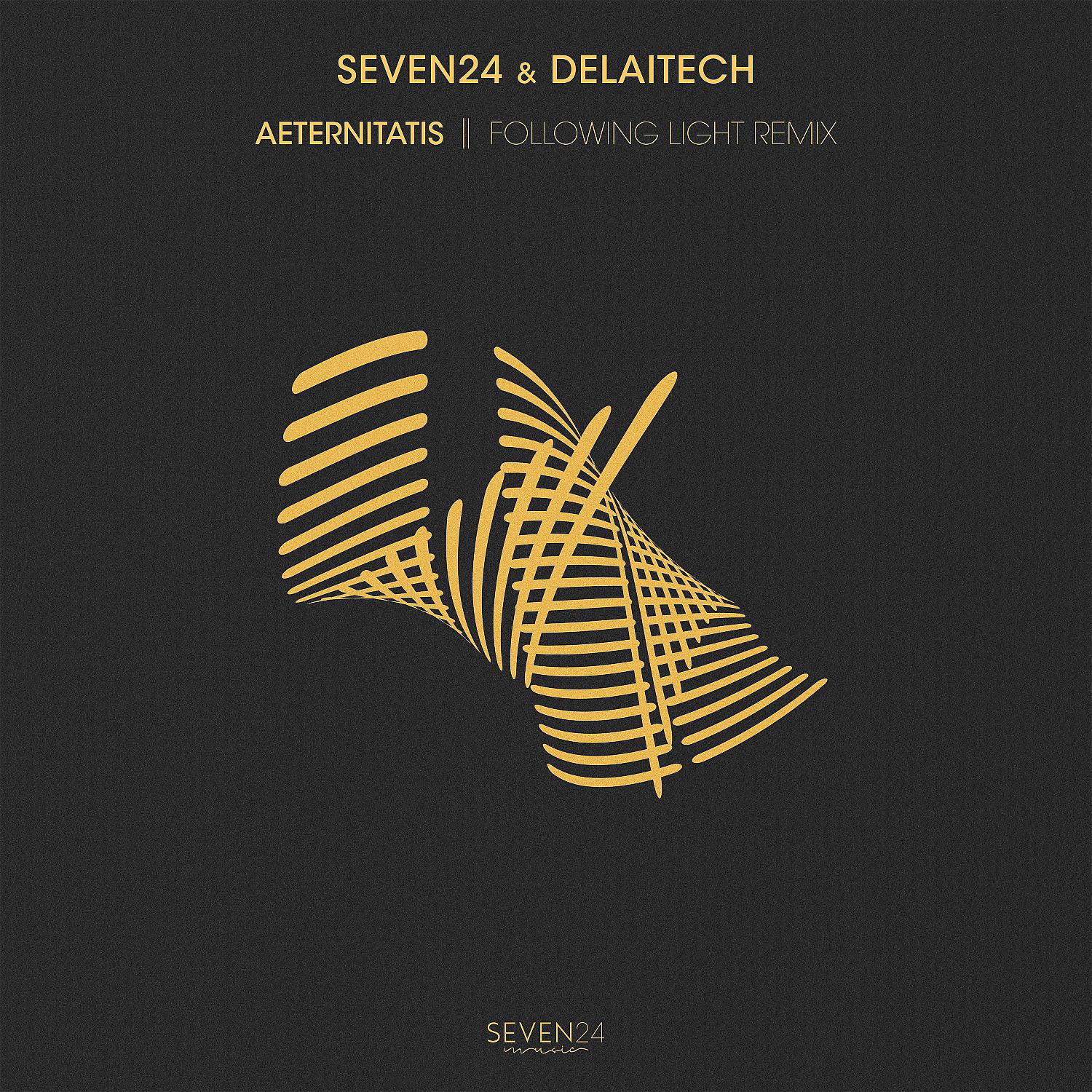 Постер альбома Aeternitatis (Following Light Remix)