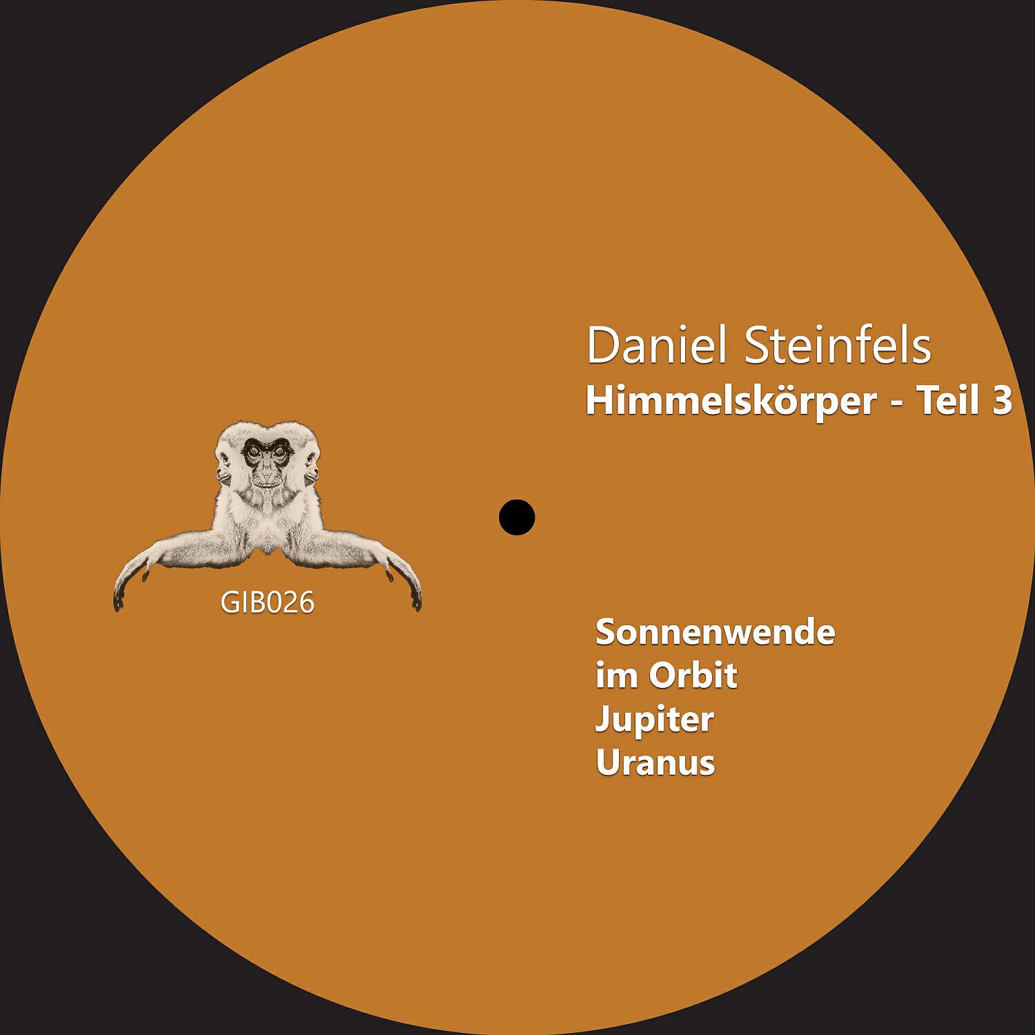 Daniel Steinfels - Jupiter (Original Mix)