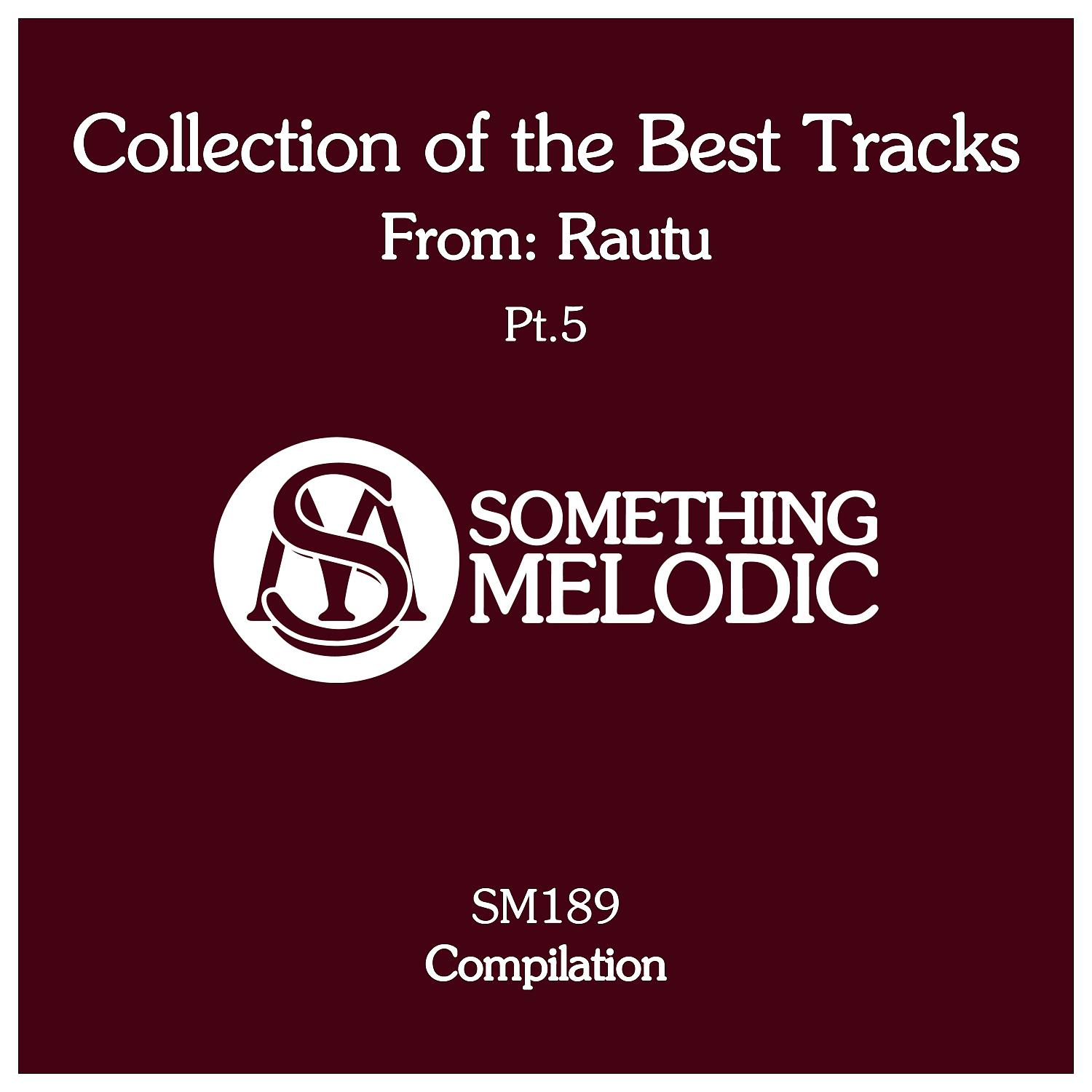 Постер альбома Collection of the Best Tracks From: Rautu, Pt. 5