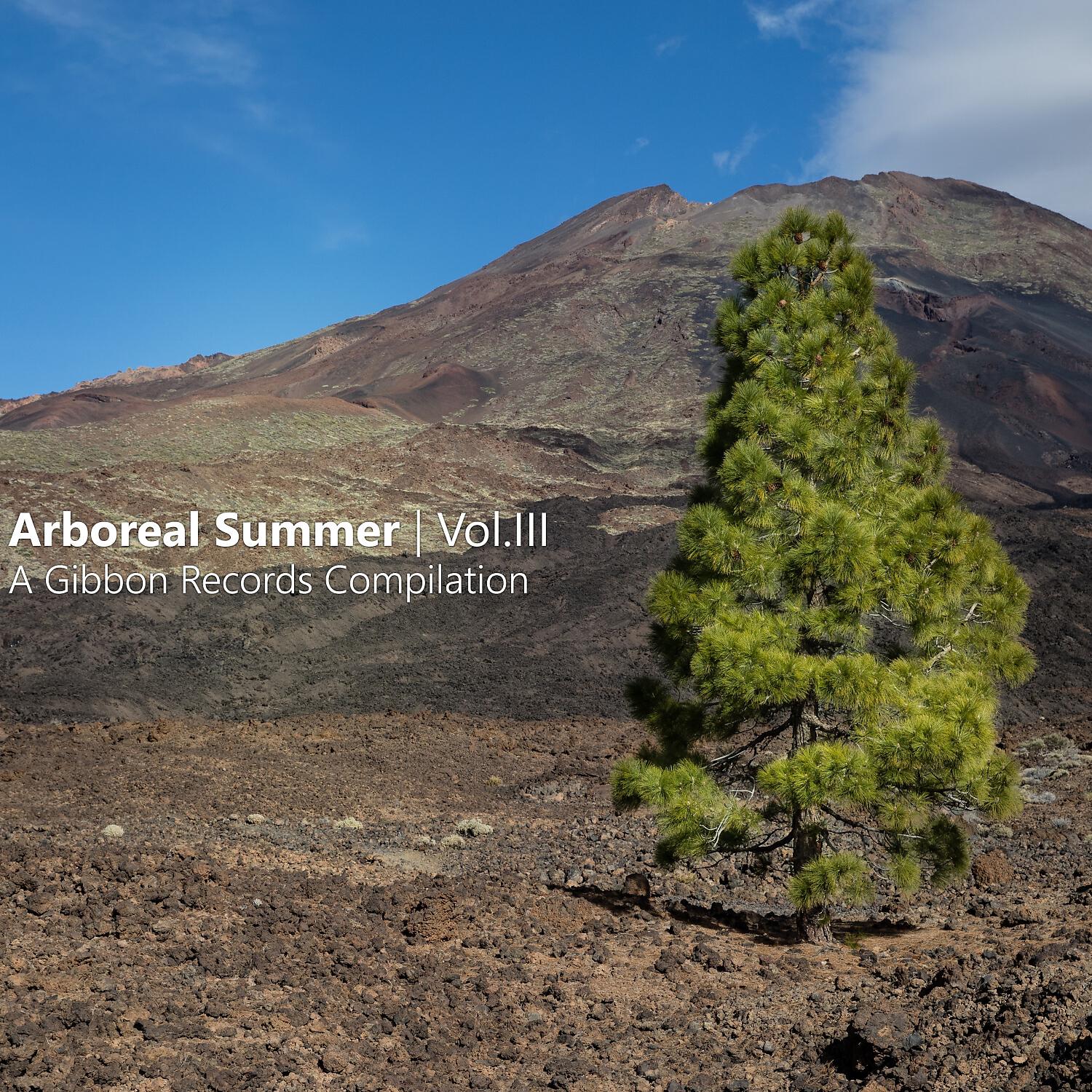 Moonface - Arboreal Summer, Vol.iii (Continuous Dj Mix 1)