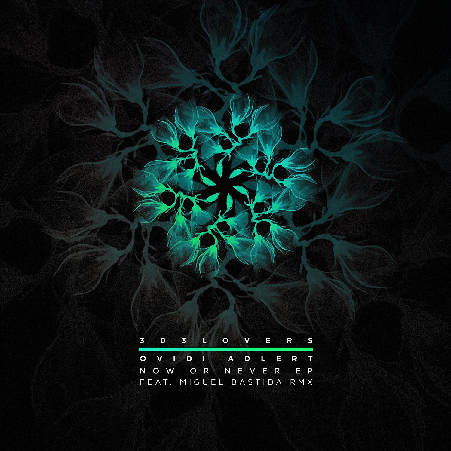 Ovidi Adlert - Now or Never (Miguel Bastida Remix)
