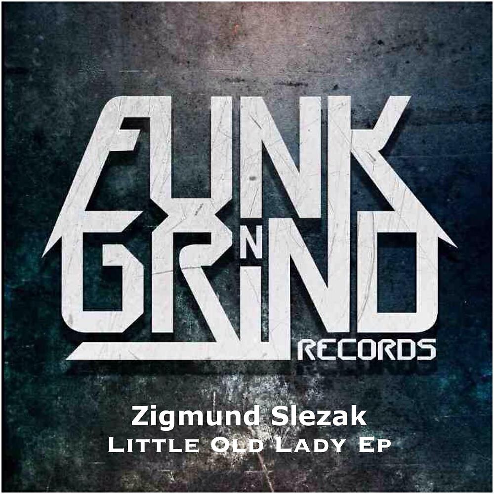 Zigmund Slezak - Snow Flakes