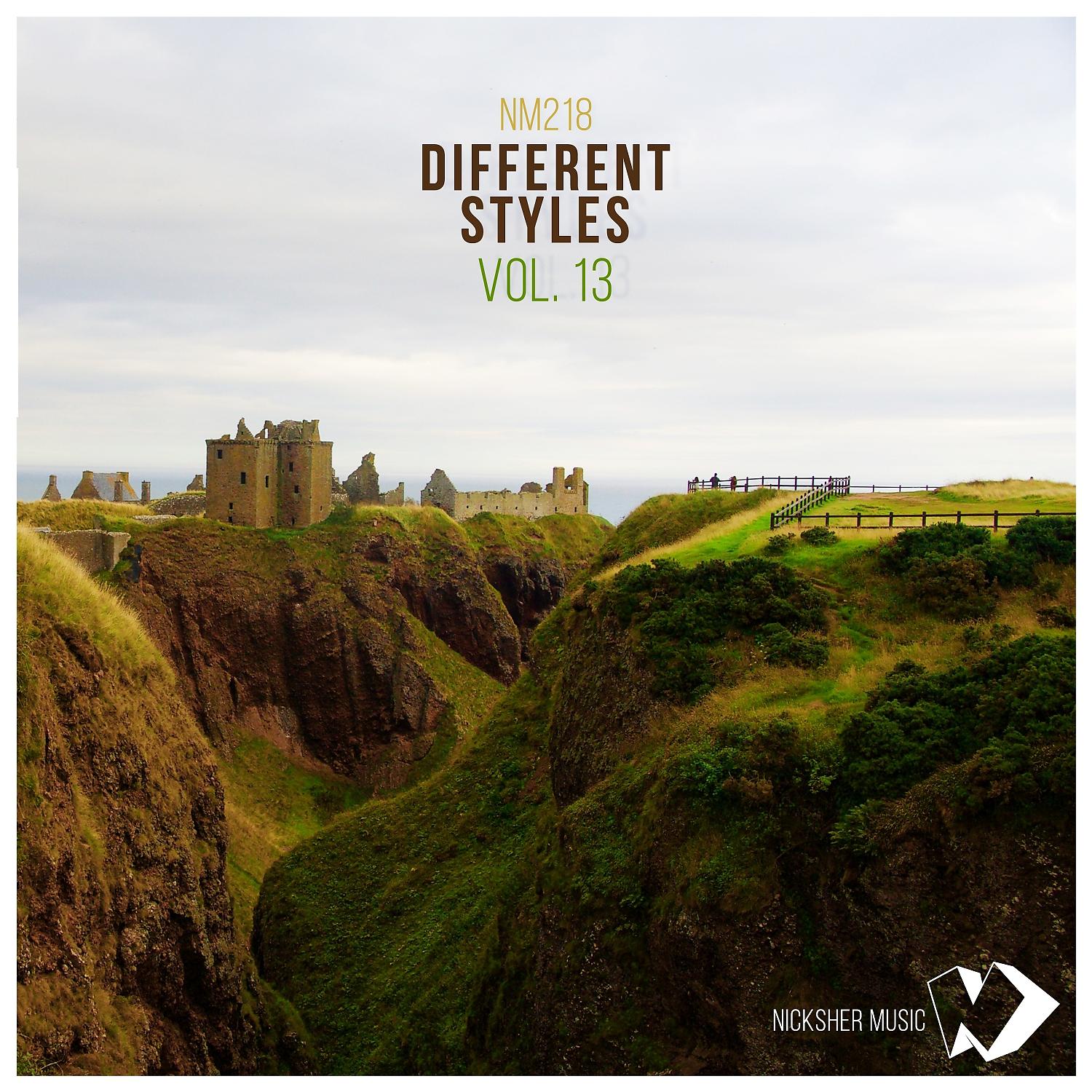 Постер альбома Different Styles Vol.13
