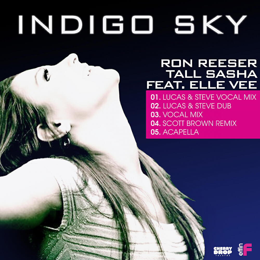 Ron Reeser - Indigo Sky (Acapella)