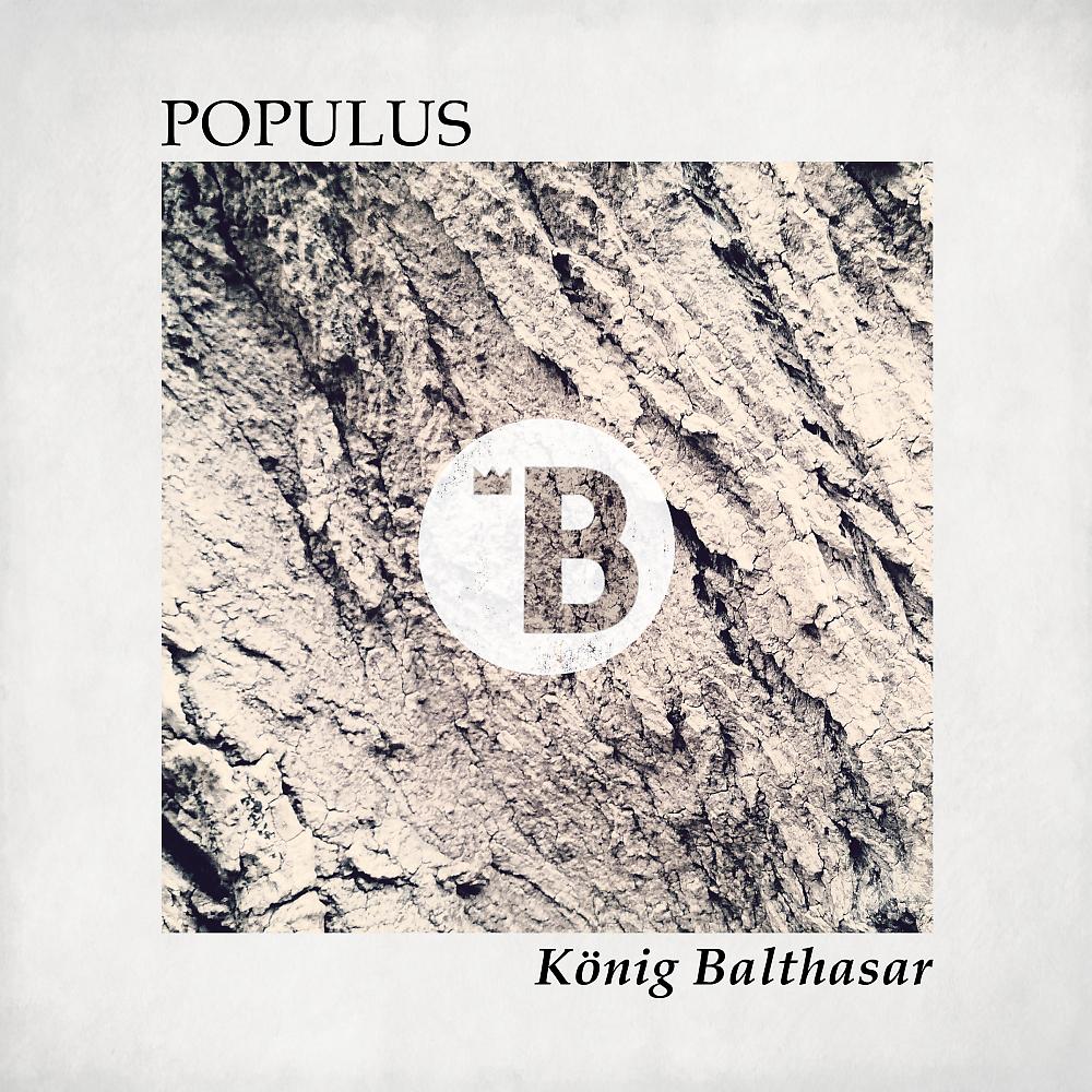 Постер альбома Populus