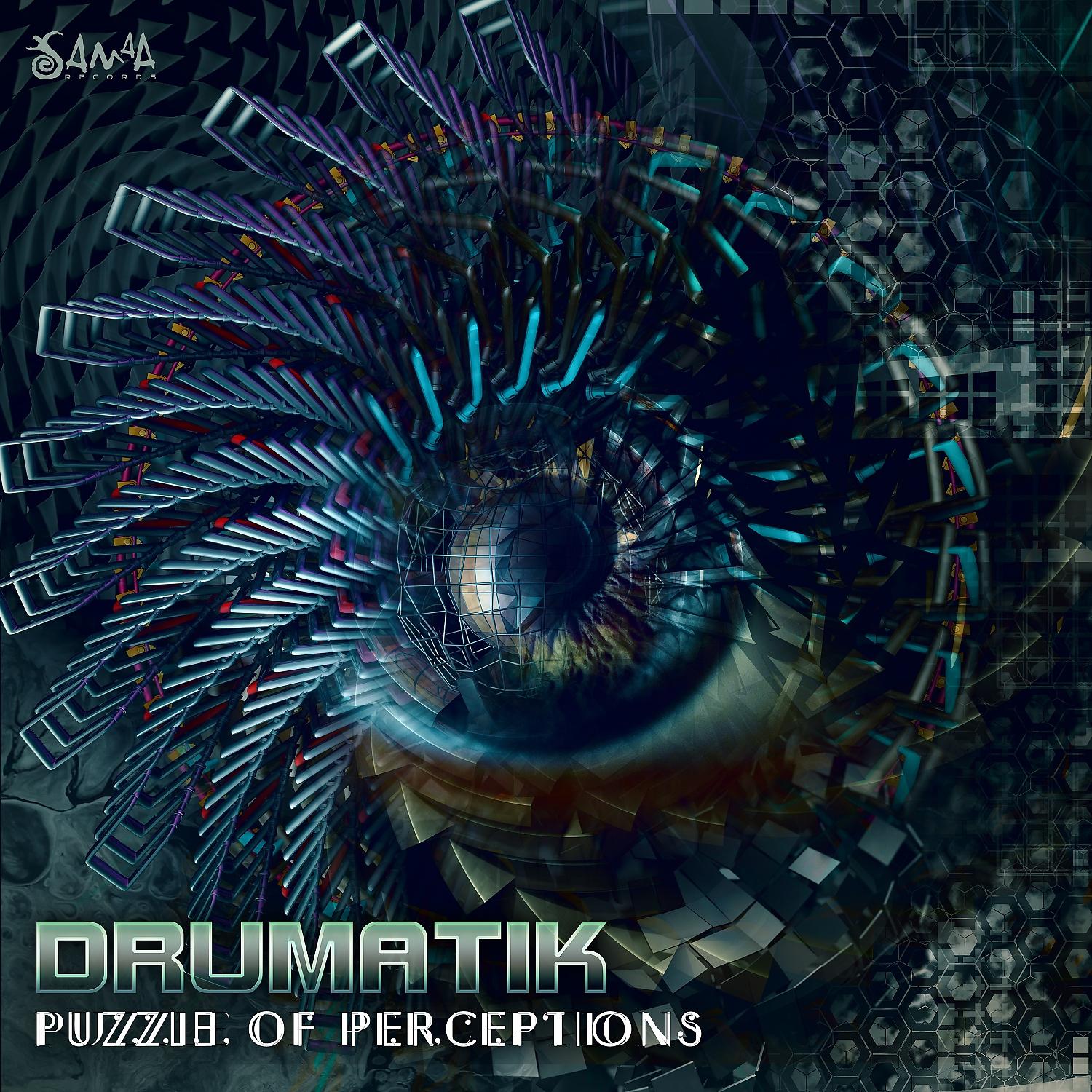 Постер альбома Puzzle of Perceptions