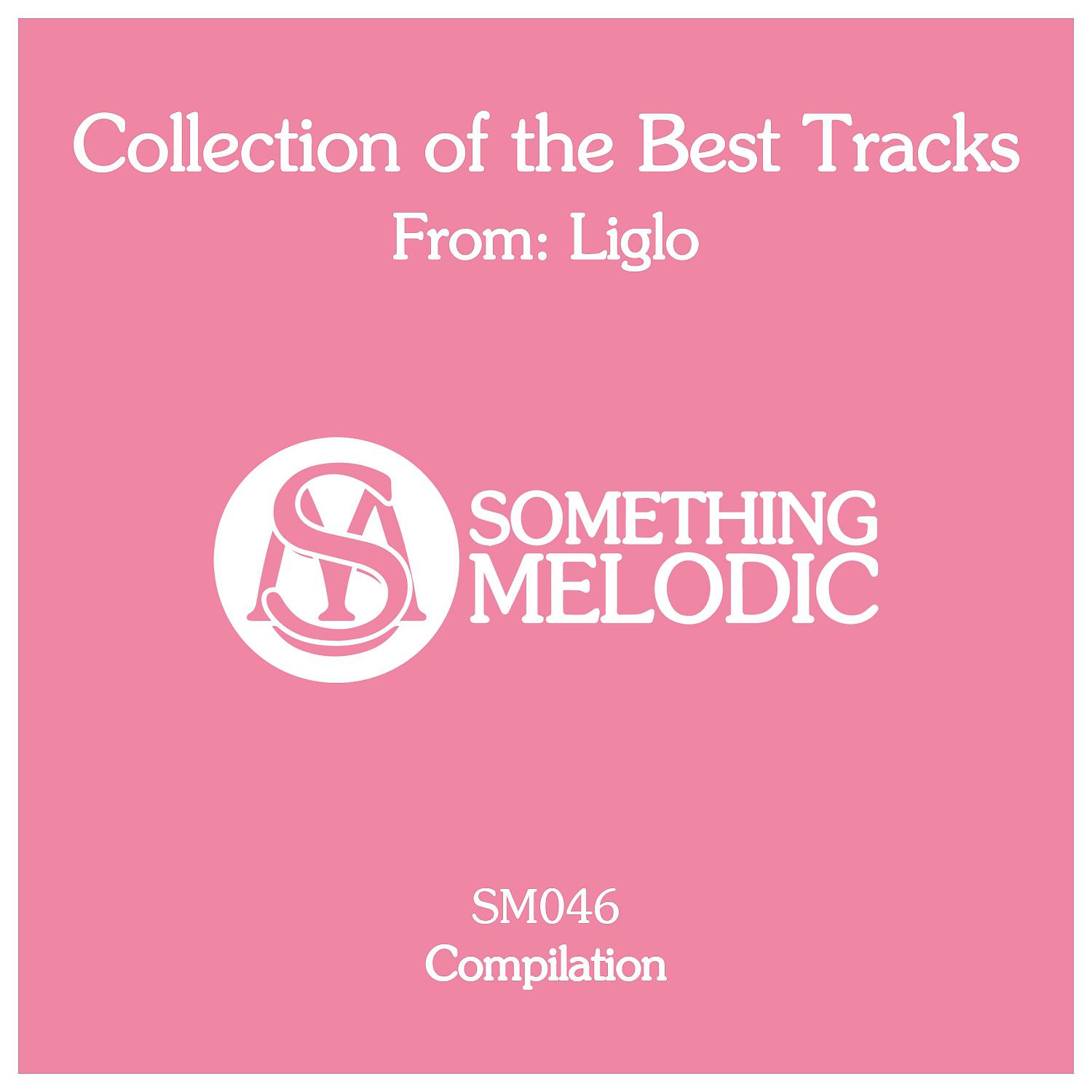 Постер альбома Collection of the Best Tracks From: Liglo