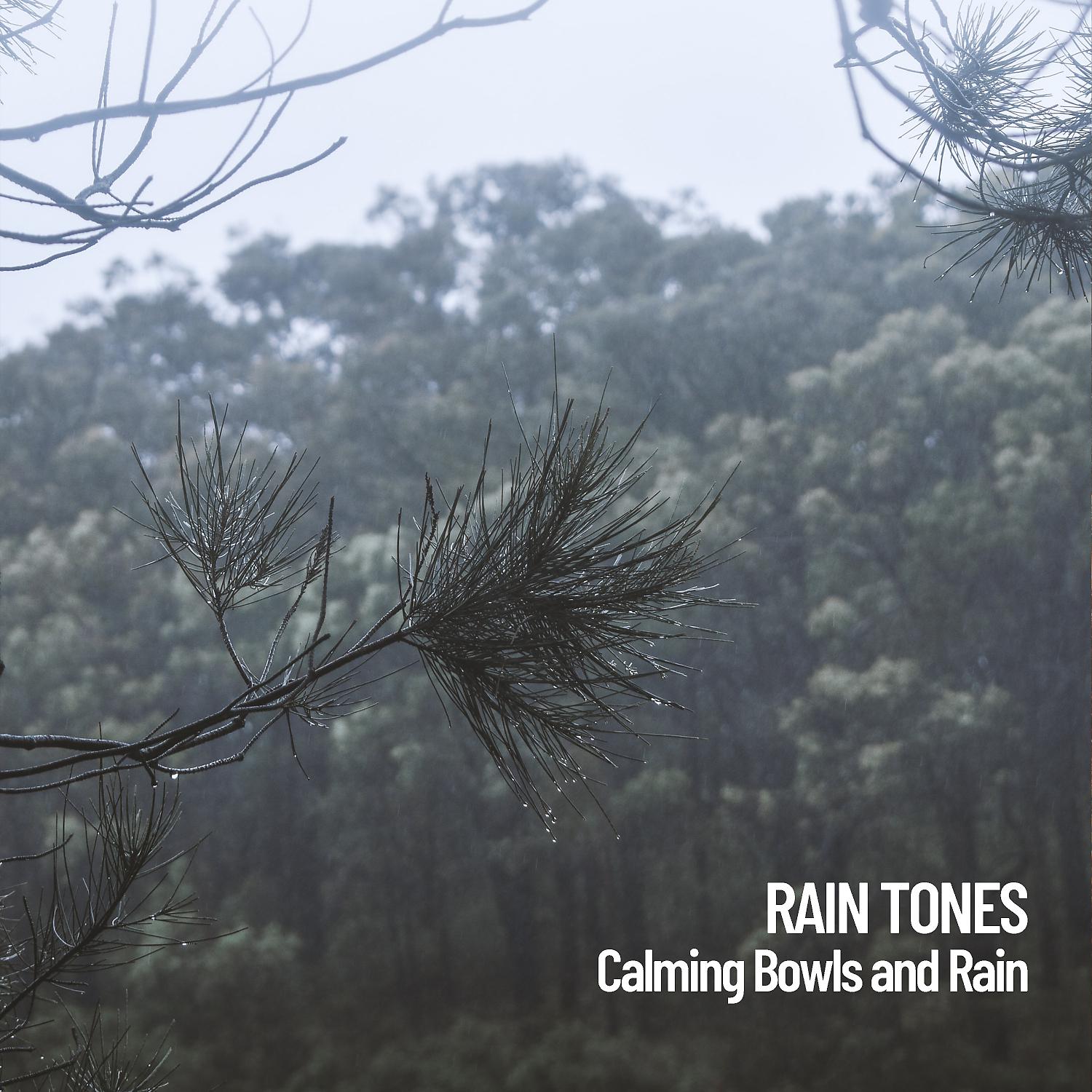 Постер альбома Rain Tones: Calming Bowls and Rain