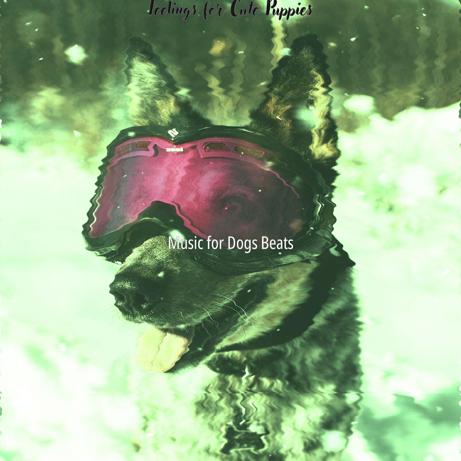 Music for Dogs Beats - Laid-back Music for Training Dogs