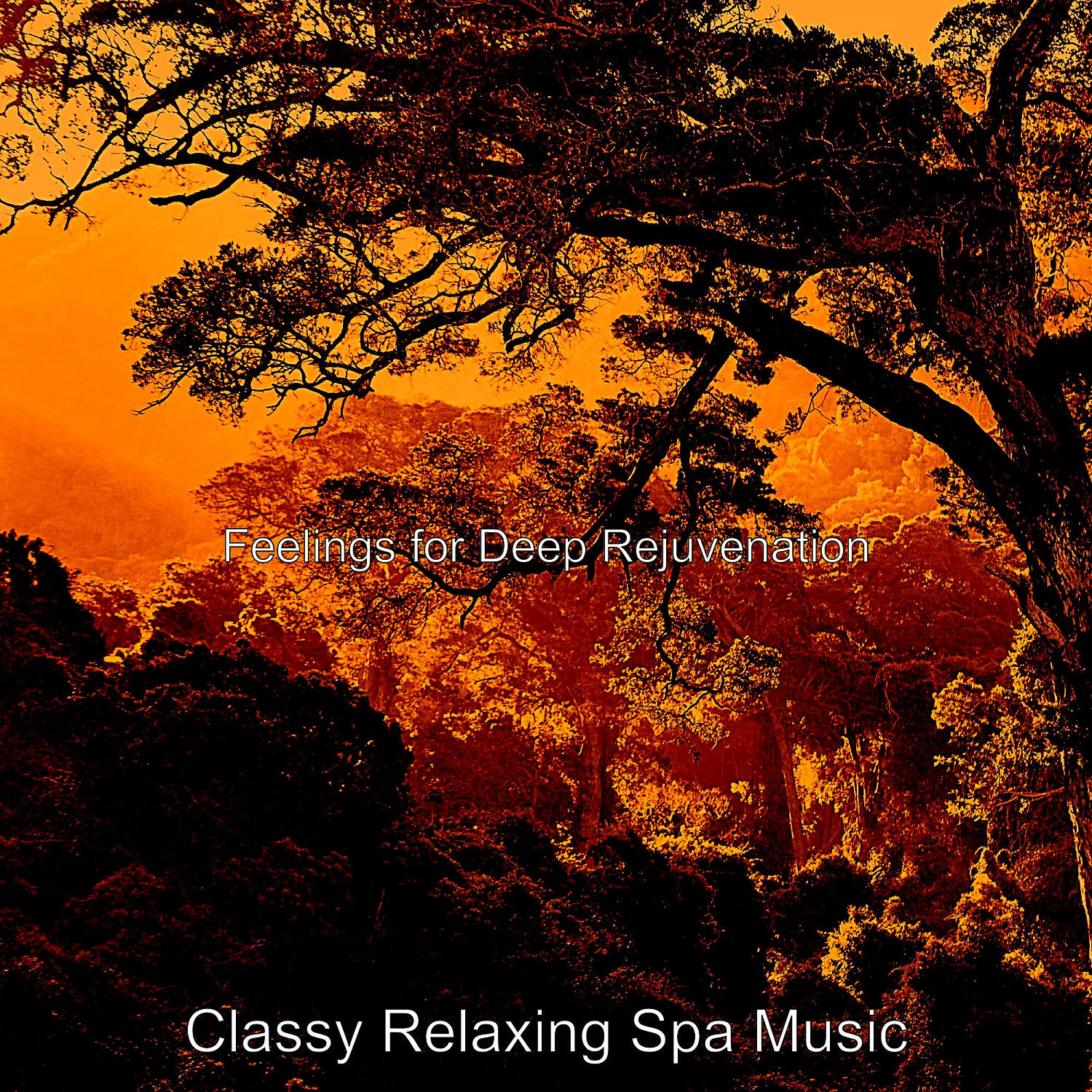 Classy Relaxing Spa Music - Happy Music for Holistic Spa Treatments