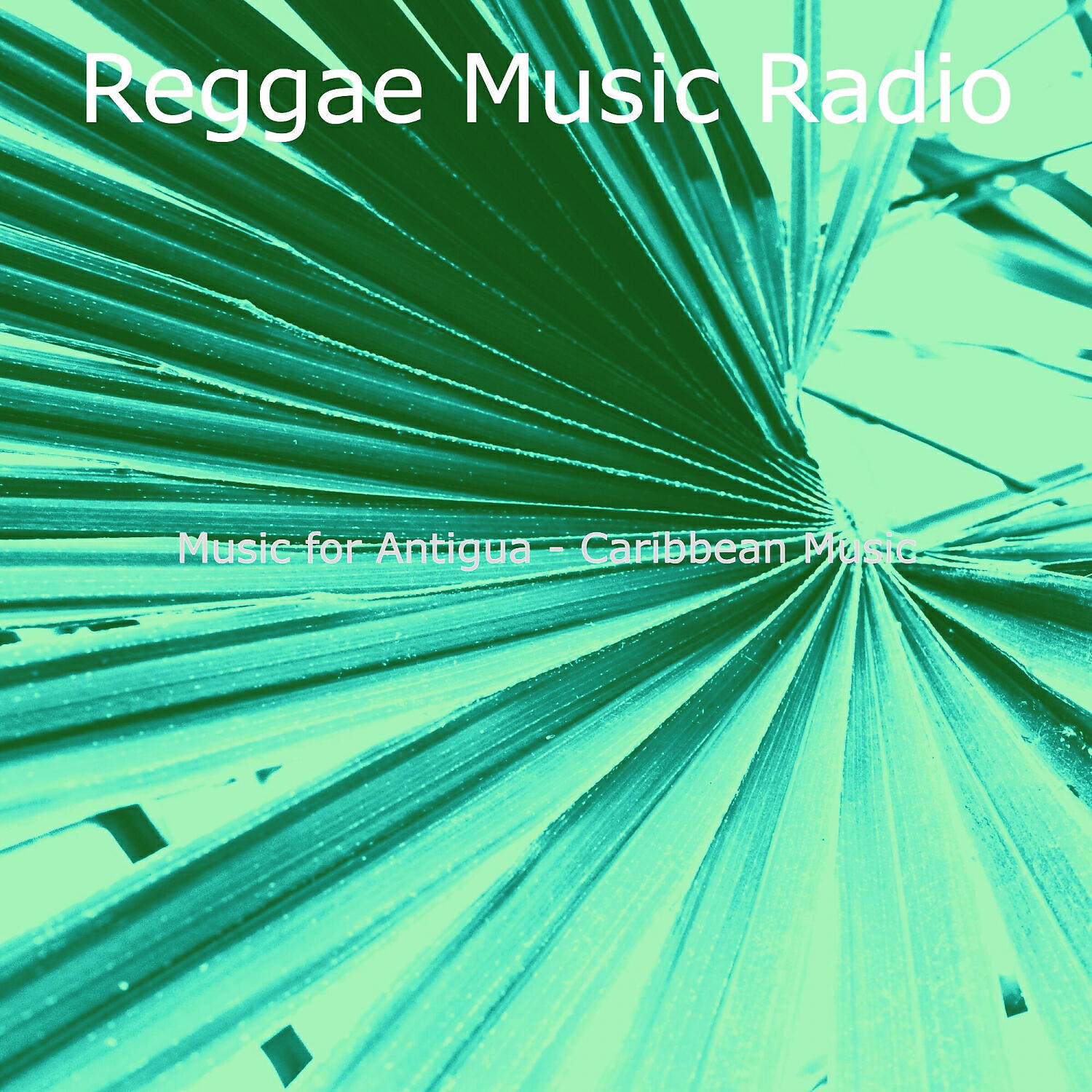 Reggae Music Radio - Incredible West Indian Steel Drum Music - Vibe for Bahamas