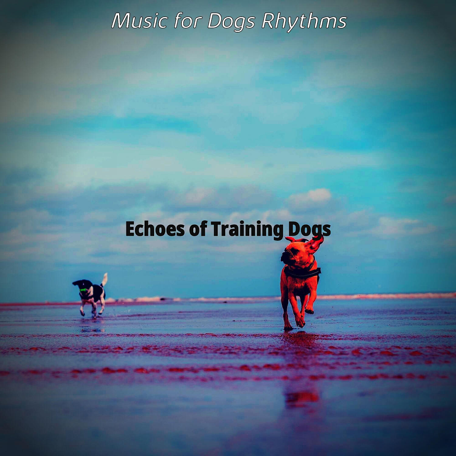 Music for Dogs Rhythms - Groovy Ambiance for Training Dogs