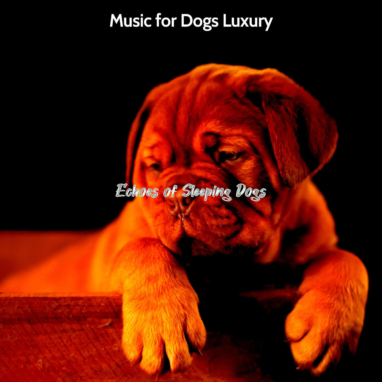 Music for Dogs Luxury - Excellent Jazz Guitar Trio - Vibe for Dogs