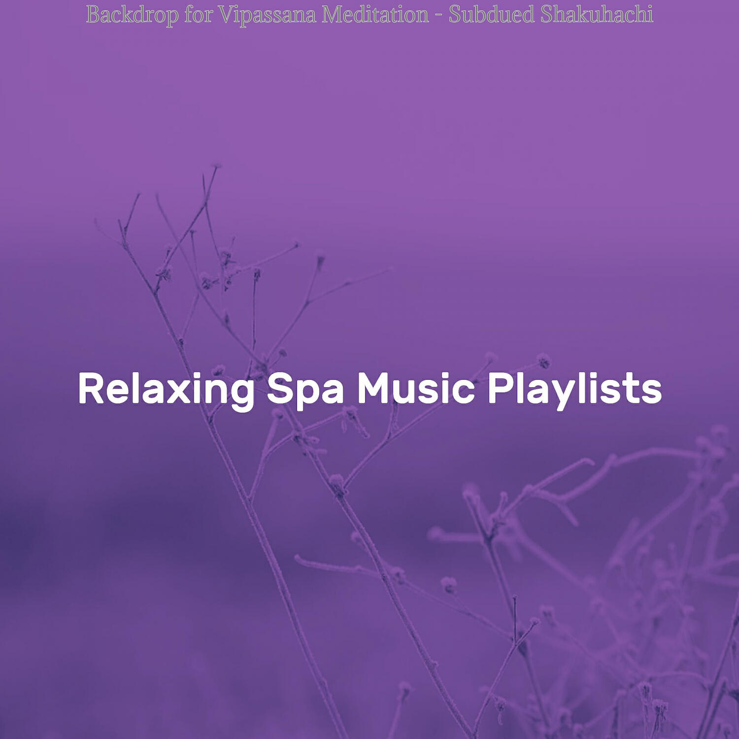 Relaxing Spa Music Playlists - Unique Music for 1 Hour Spa