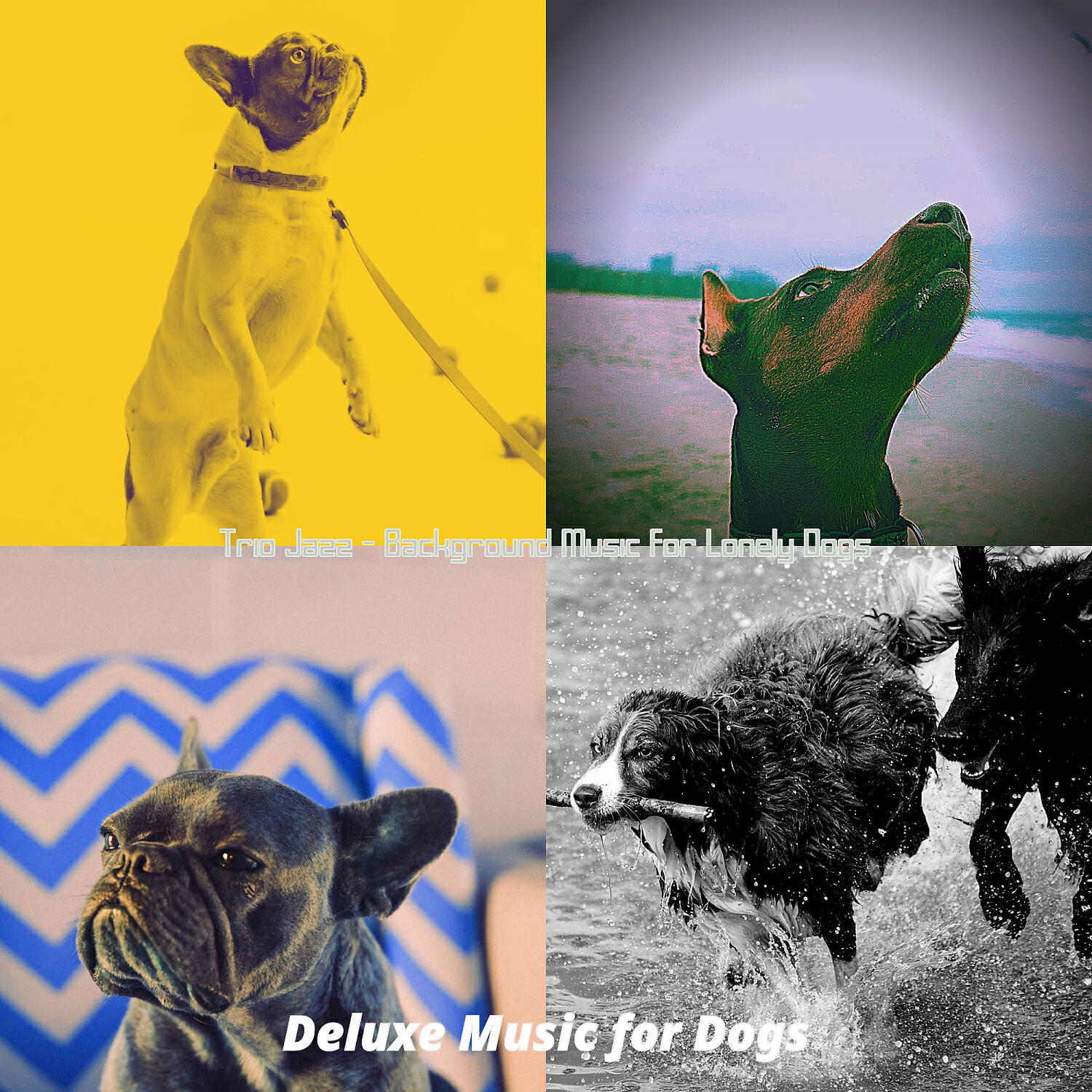 Deluxe Music for Dogs - Scintillating Sleeping Dogs