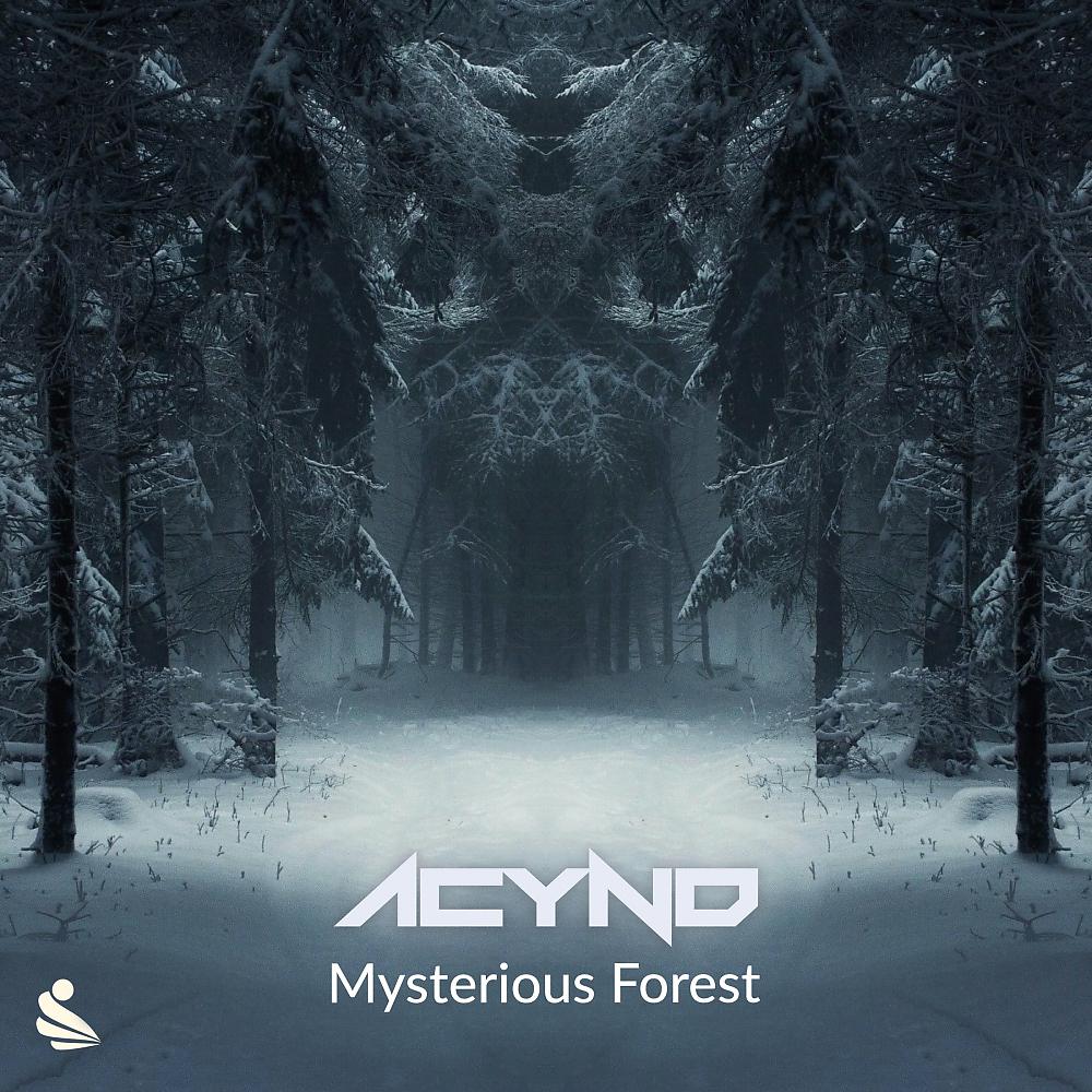 Постер альбома Mysterious Forest