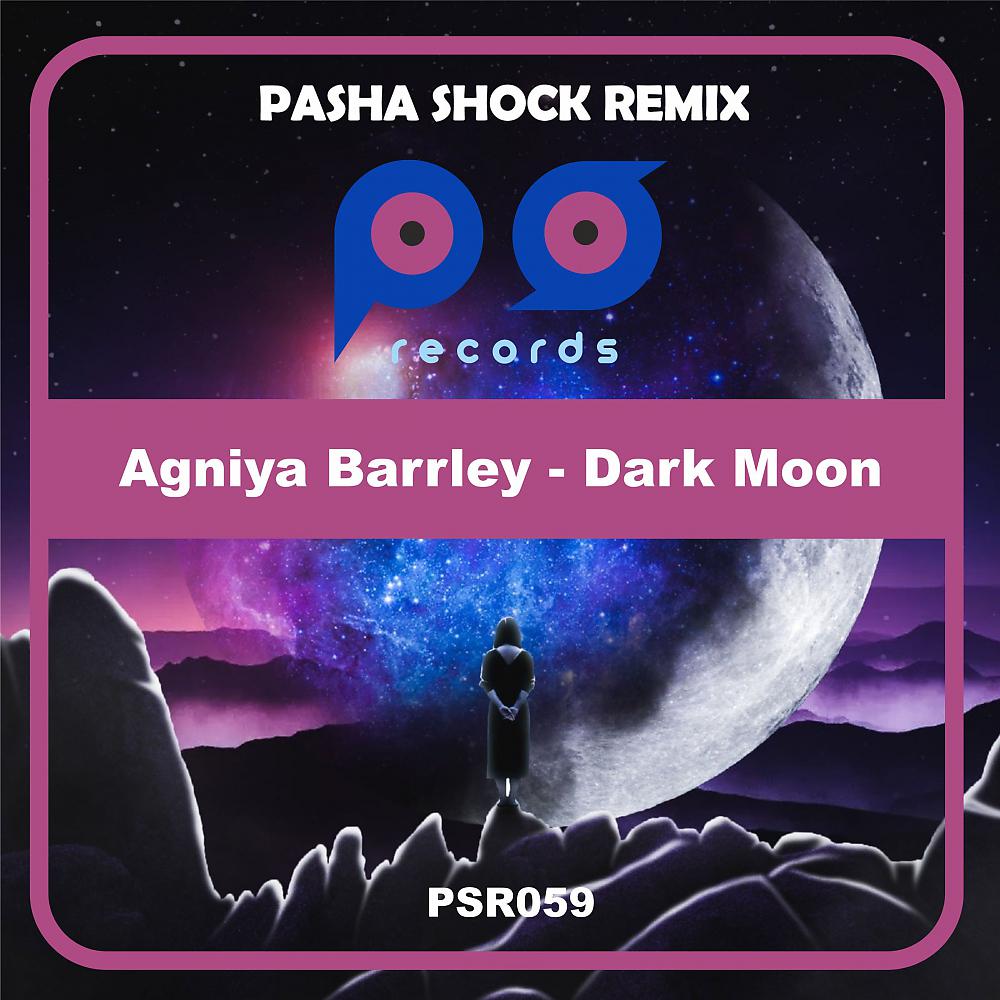 Постер альбома Dark Moon (Pasha Shock Remix)