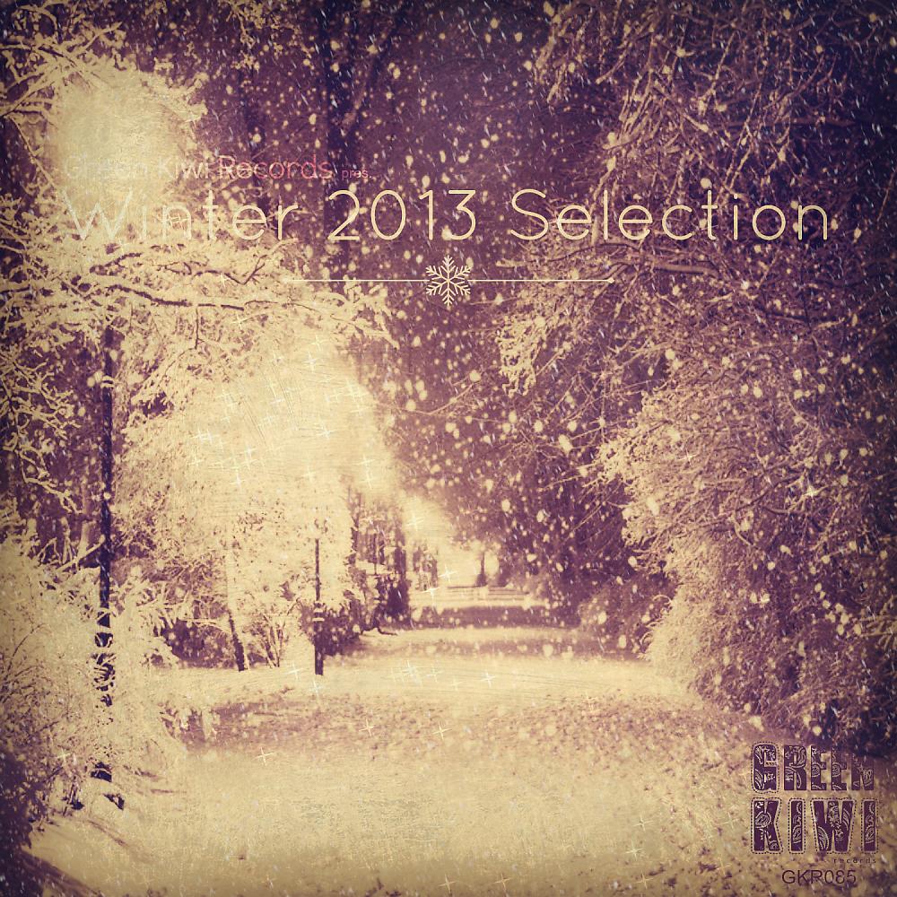Постер альбома Winter 2013 Selection