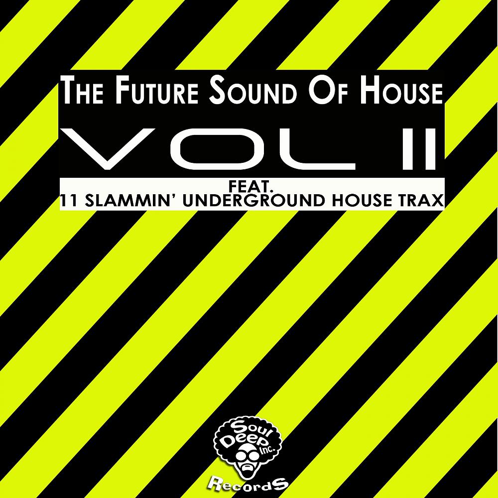 Постер альбома The Future Sound Of House Vol 2