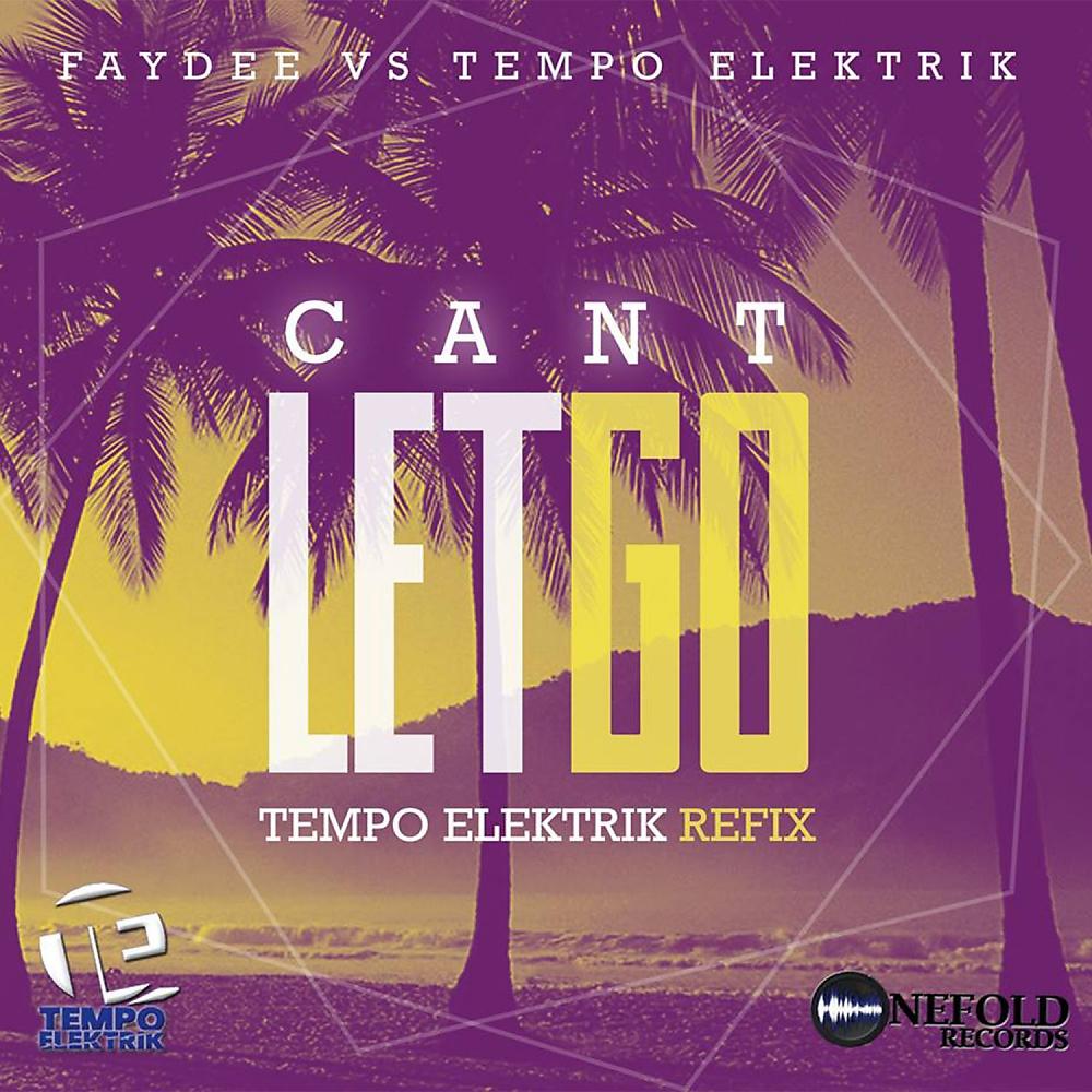 Постер альбома Can't Let Go (Faydee Vs. Tempo Elektrik)