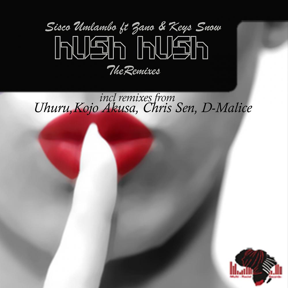 Постер альбома Hush Hush 2013 Remixes