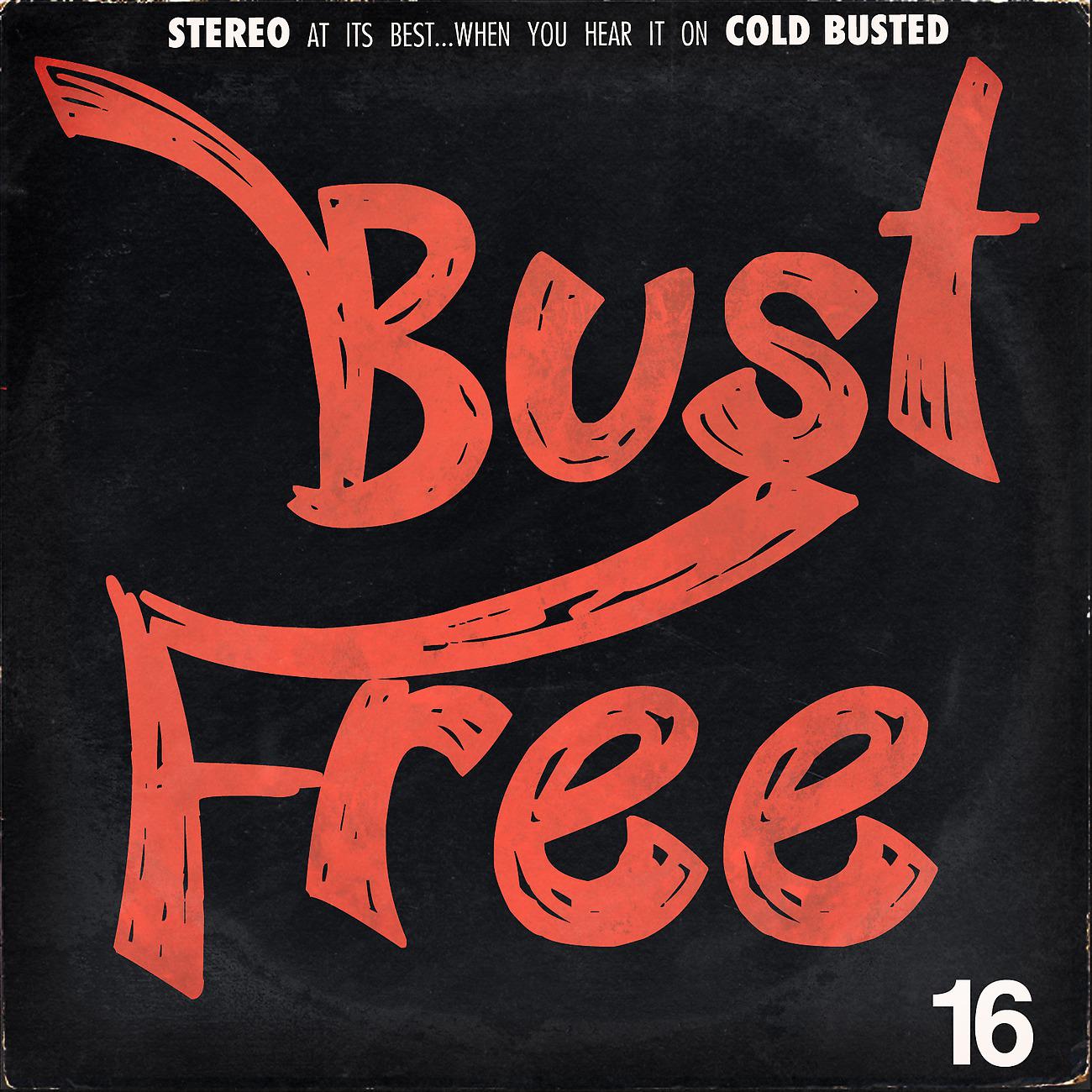 Постер альбома Bust Free 16