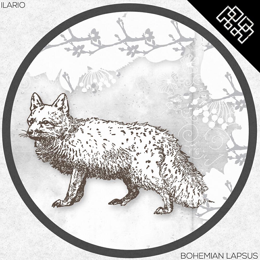 Ilario - Bohemian Lapsus (Marttina Remix)