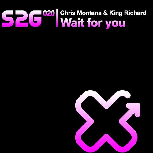 Chris Montana - Wait for You (Niko De Luka & Brown Sugar Dub)