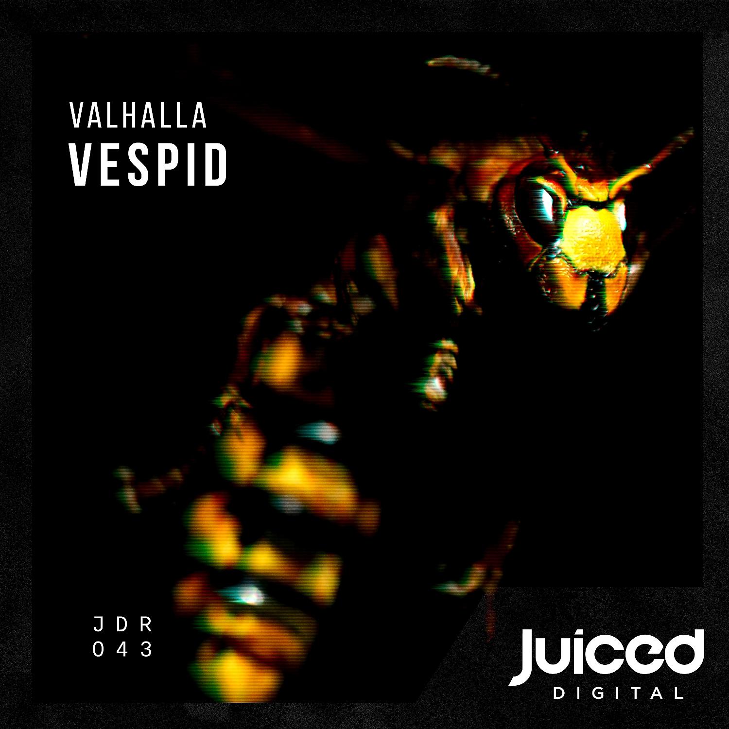 Постер альбома Vespid