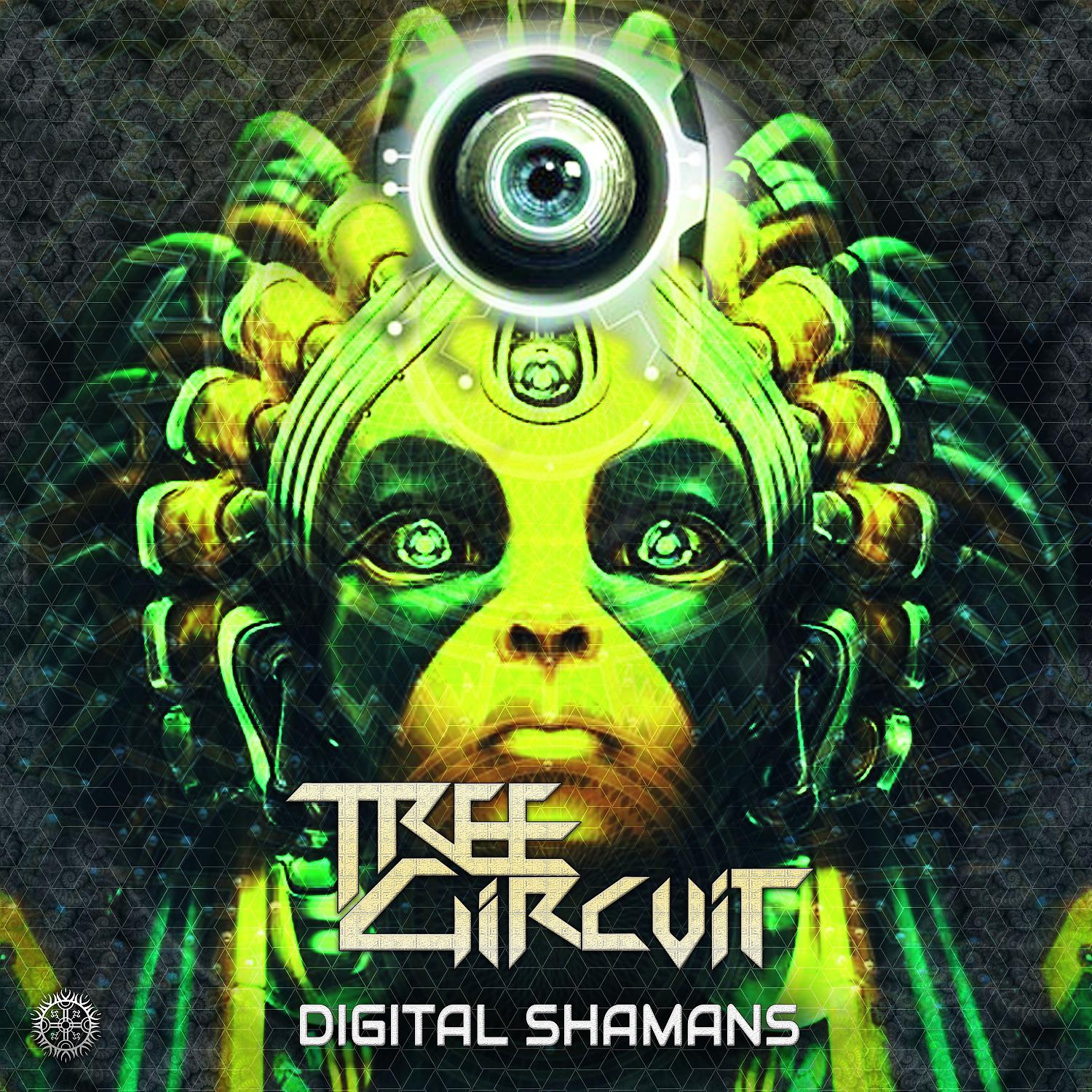 Постер альбома Digital Shamans