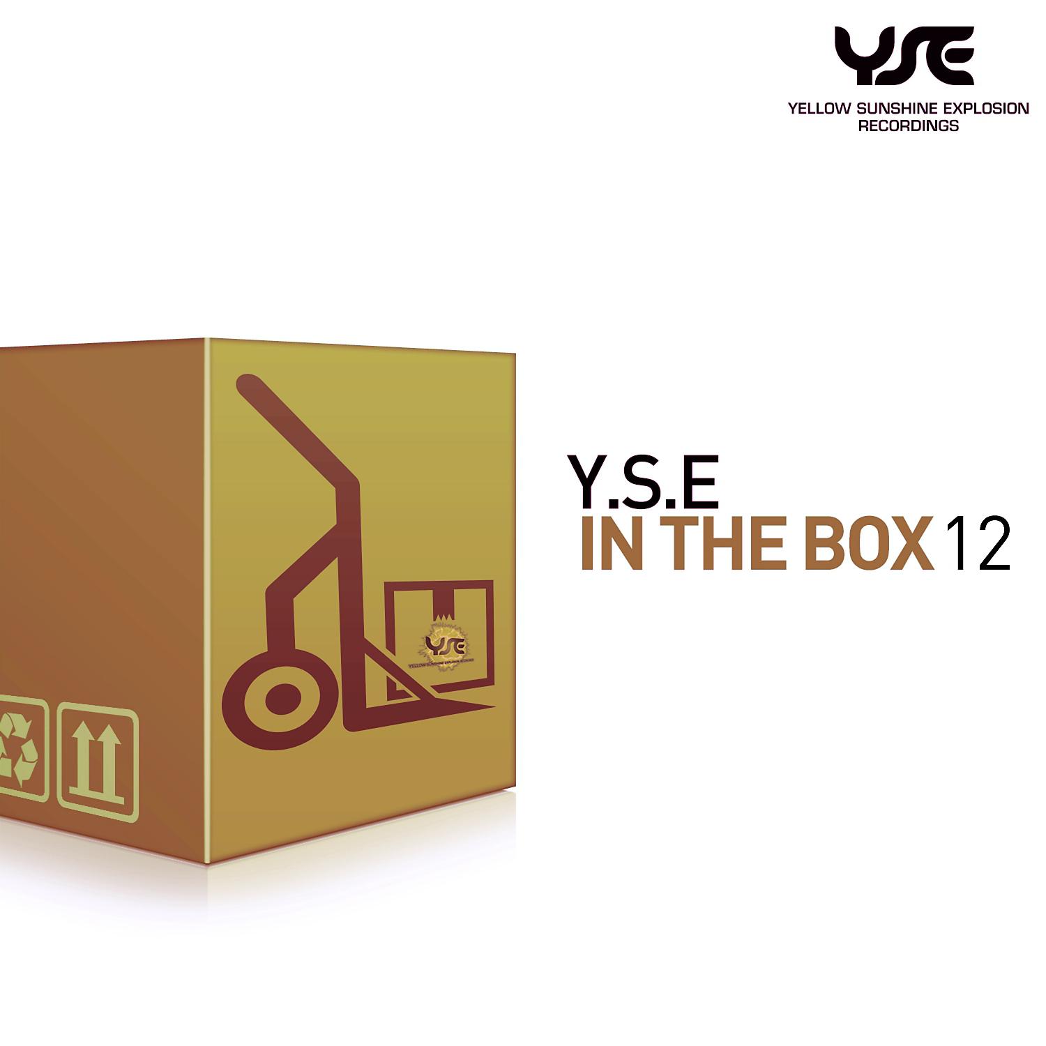 Постер альбома Y.S.E. in the Box, Vol. 12