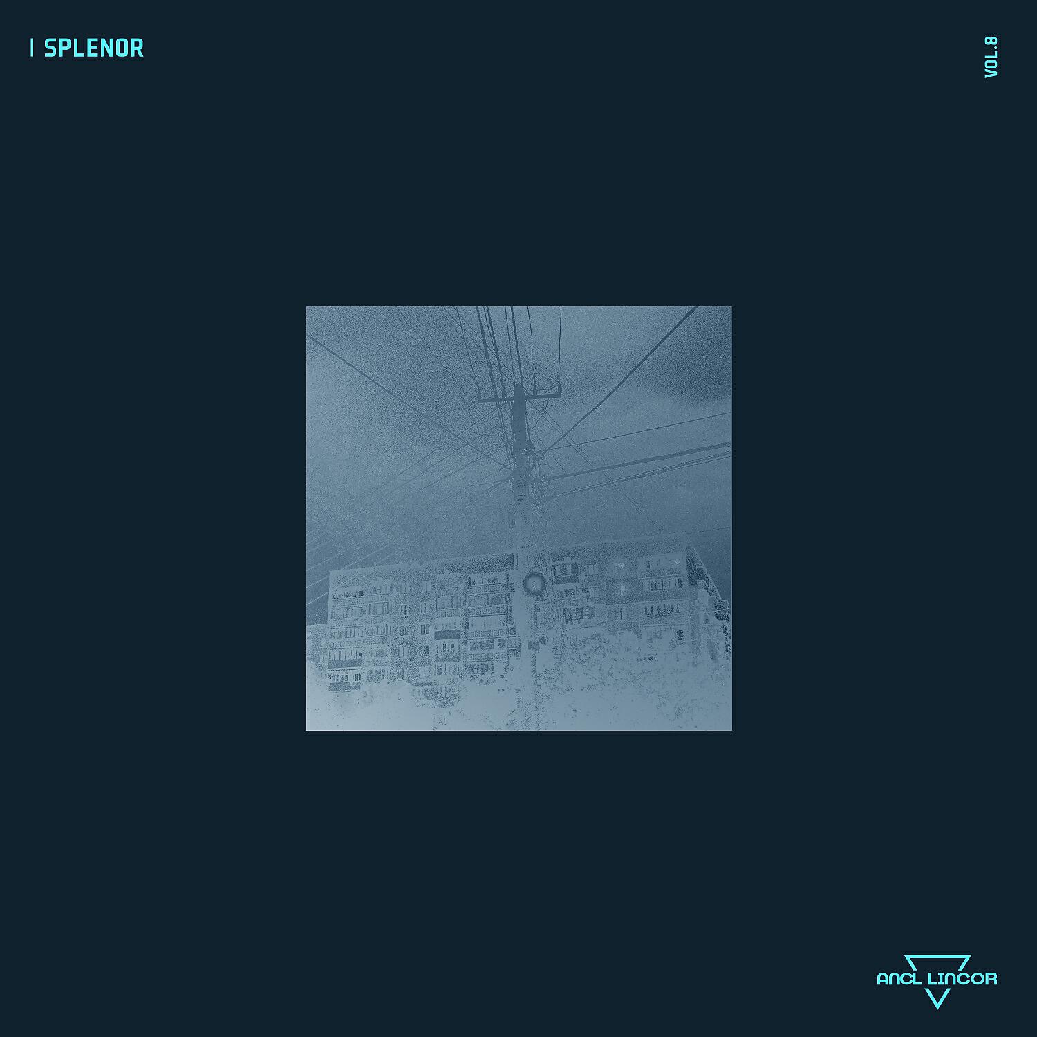 Fille V - Nocturnal Healing (Original Mix)