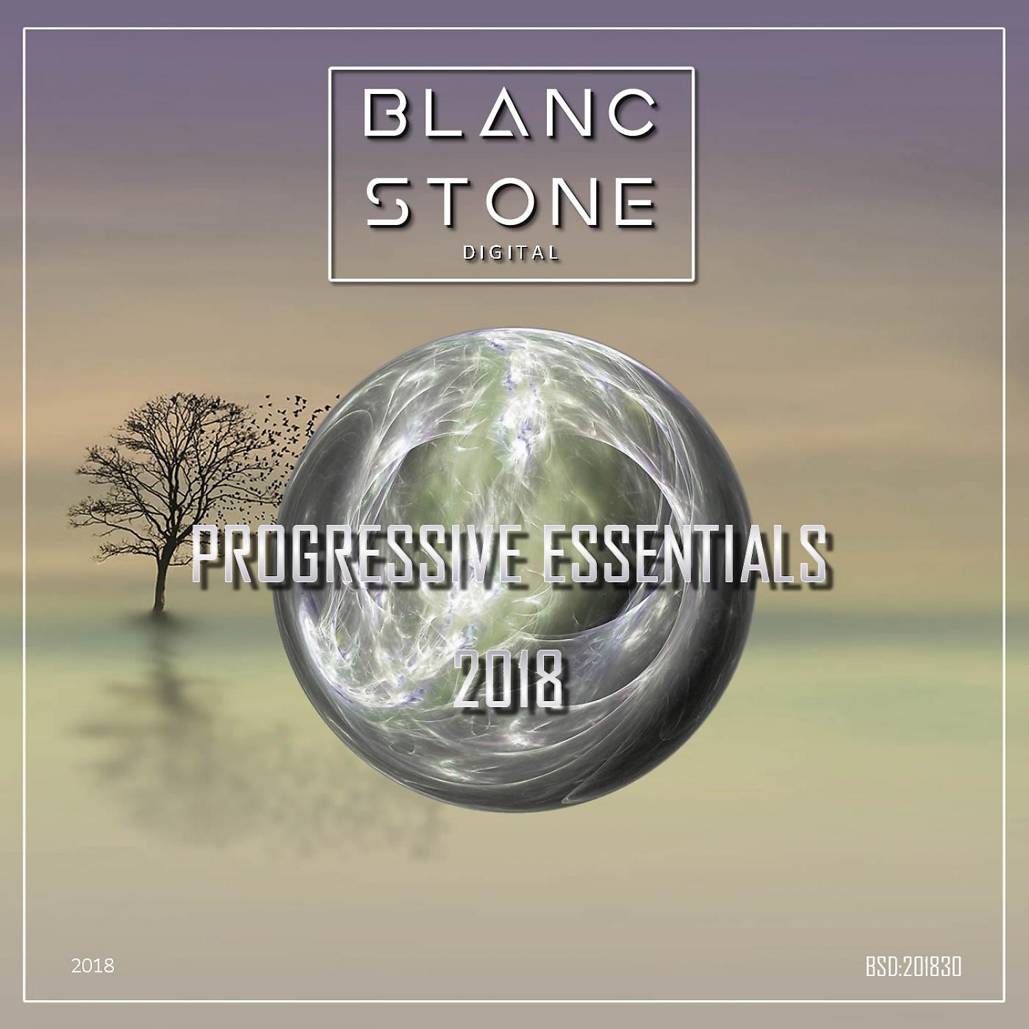 Постер альбома Bsd Progressive Essentials 2018